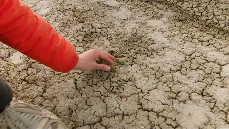 Dry_Earth_Painted_Hills.jpg