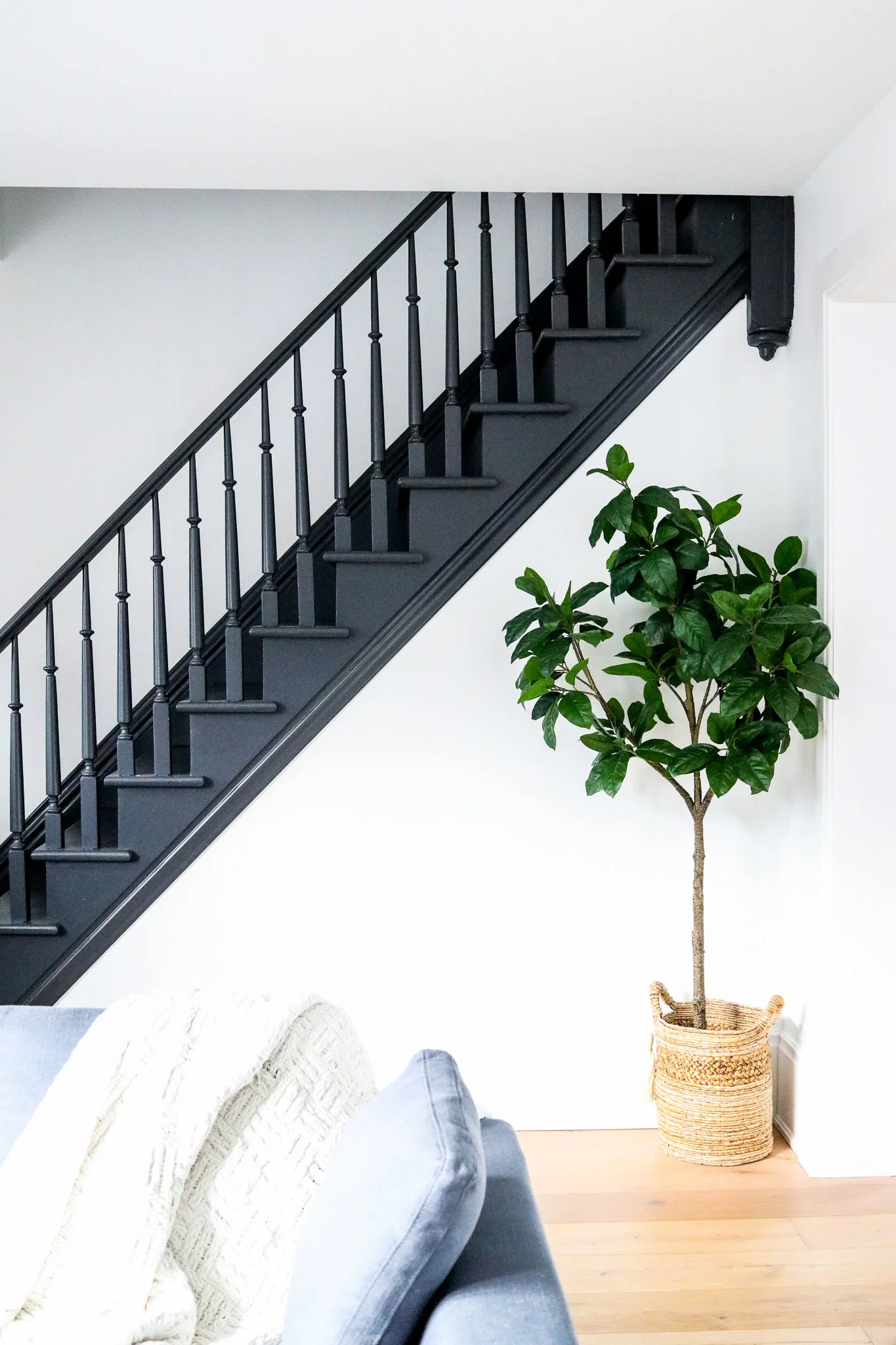 Home Renovation Contractors | Project Hilda | REED Design Build Ontario ...