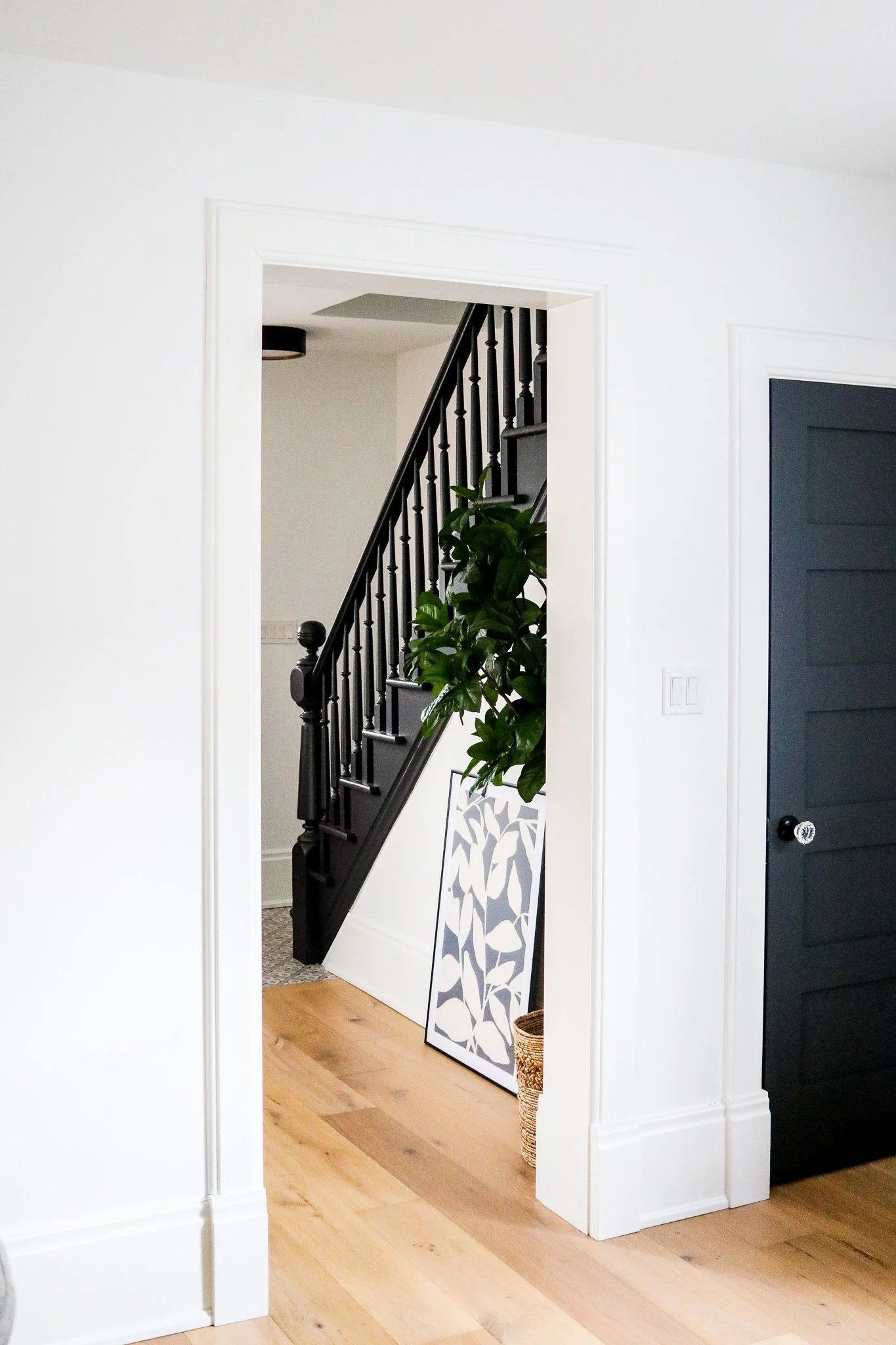 Home Renovation Contractors | Project Hilda | REED Design Build Ontario ...