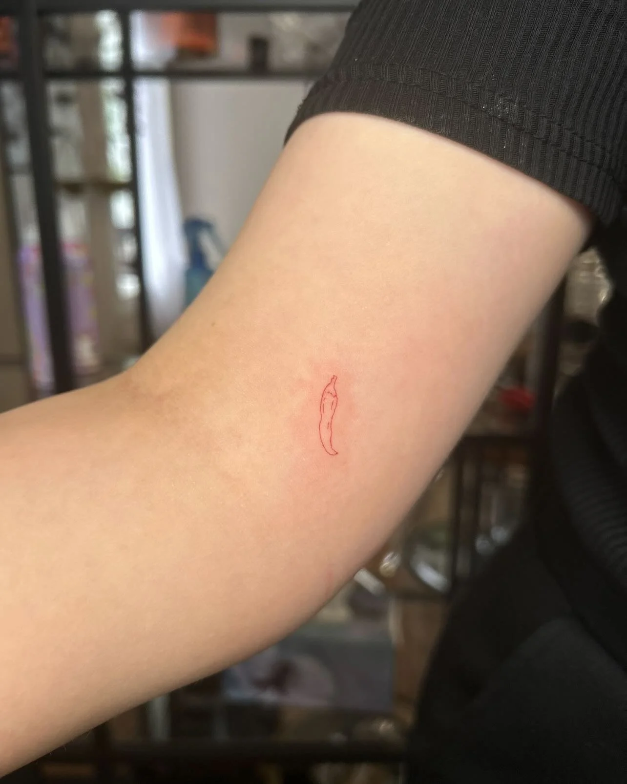 Spicing up your feed with a dainty little pepper 🌶️🌶️ #sanctuarystudio #sanctuarystudioyqr #tattoo #tattoos #tattooapprentice #tattooartist #pepper #peppertattoo