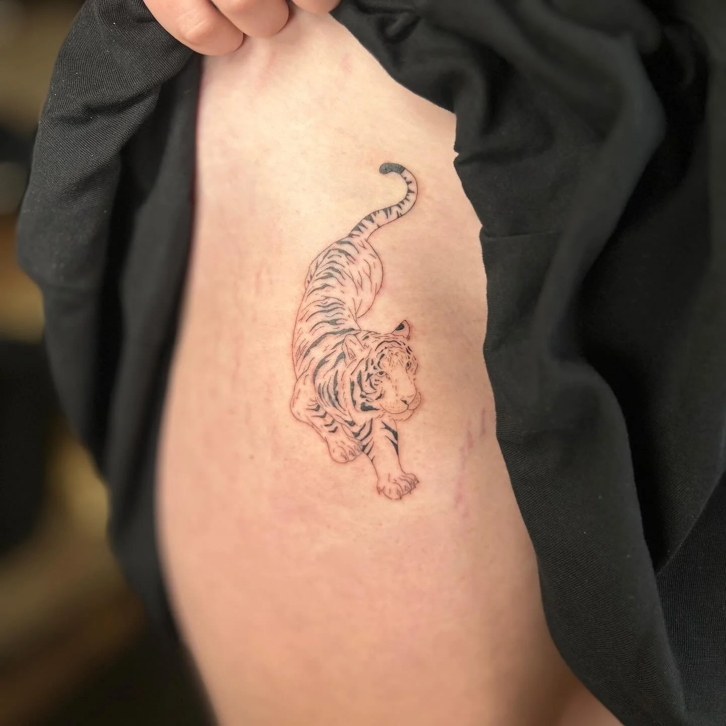 A lovey tiger! 🐅🐅 #sanctuarystudio #yqr #yqrtattoo #yqrtattoos #reginatattoo #reginatattoos #tiger #tigertattoo #tigertattoos #tattoo #tattoos #tattooartist #tattooapprentice