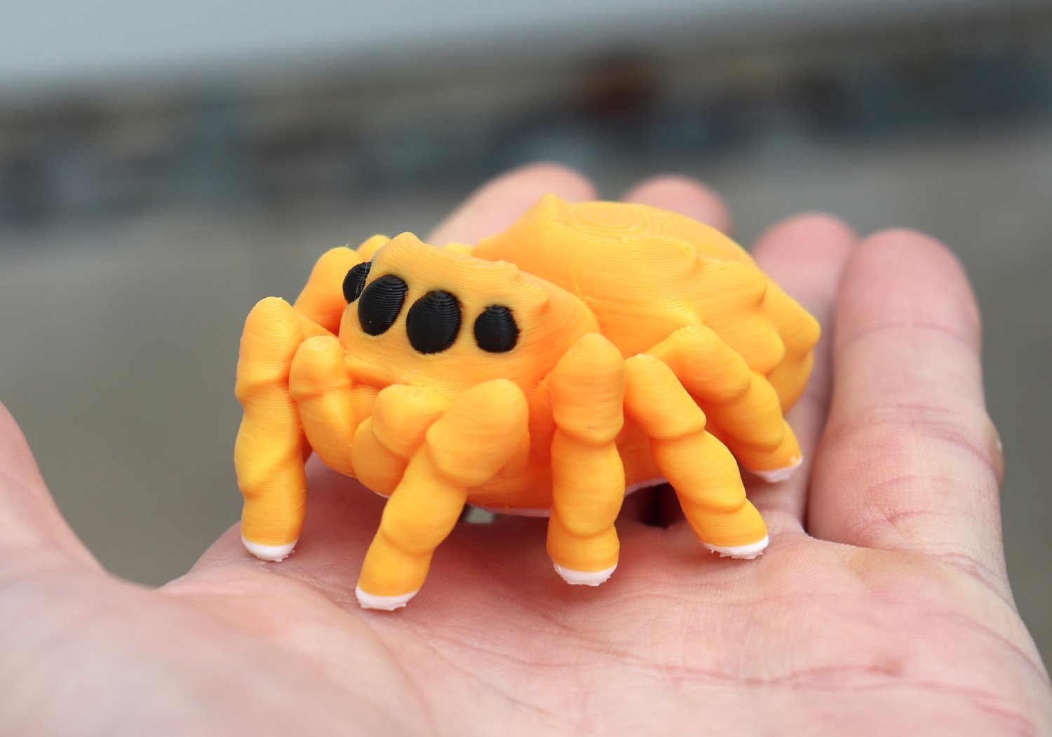 3D Printed Jumping Spider Toy — Pigeon Print Shop