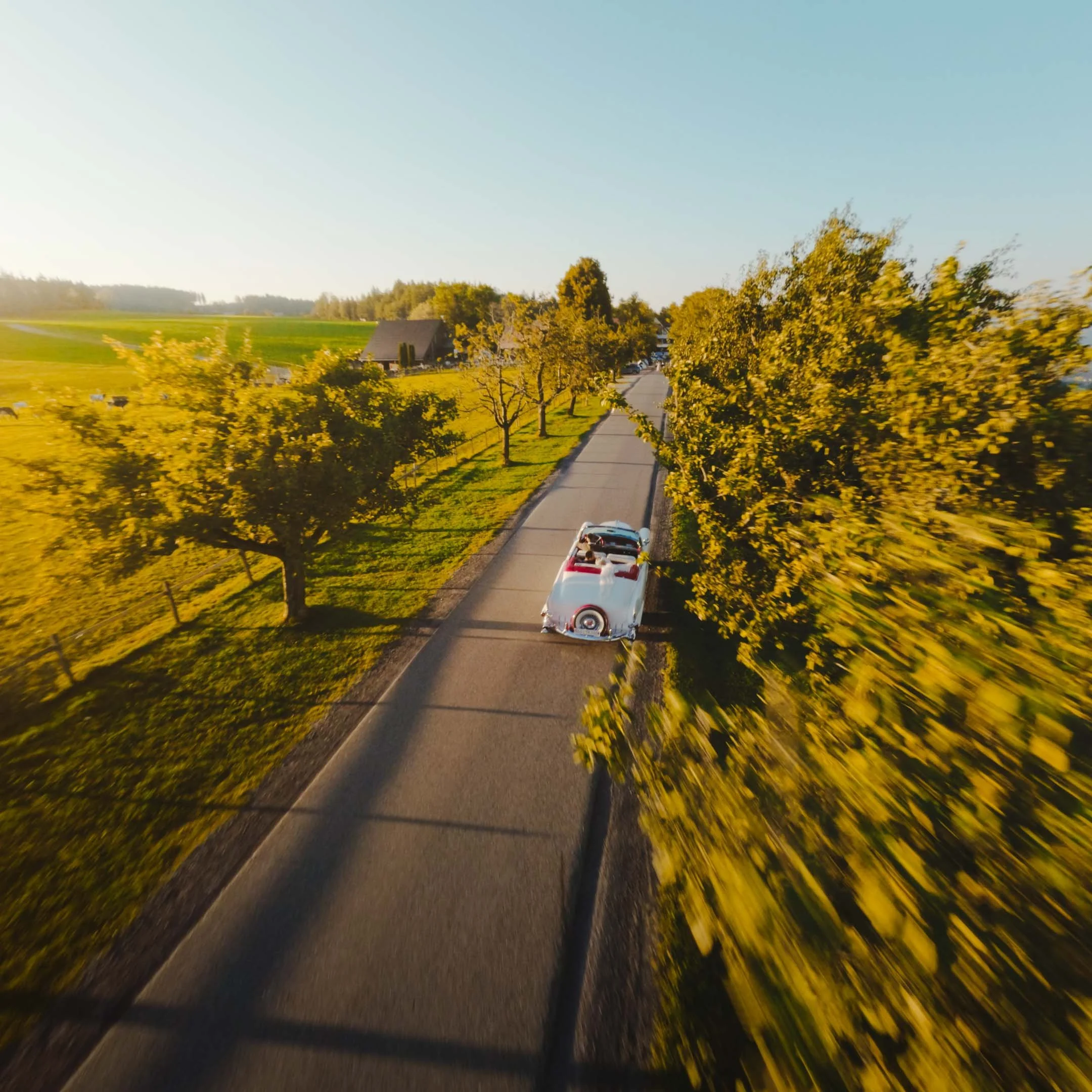 STEFAN & NAOMI WEBSEITE-3.jpg