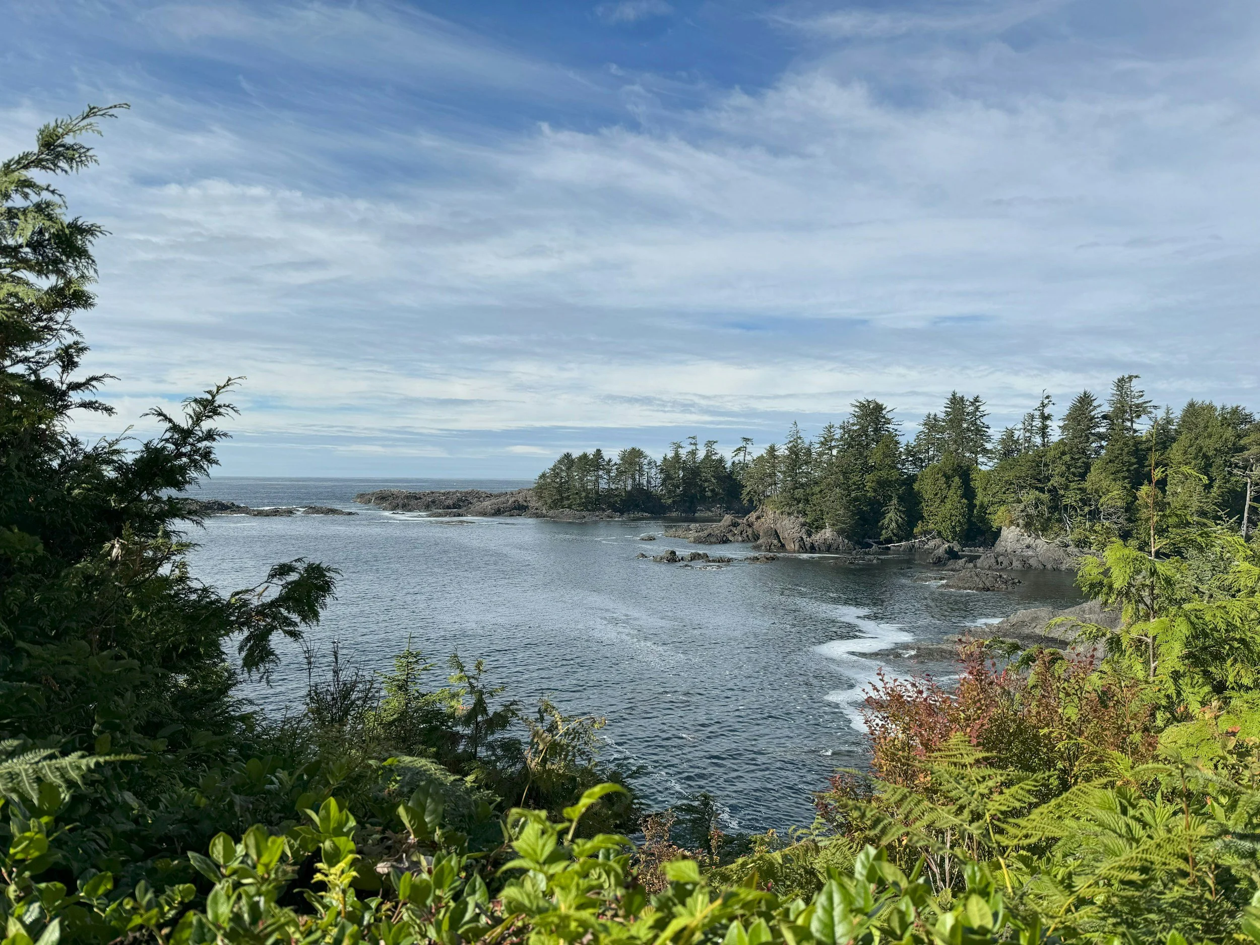 Cowichan Valley coast
