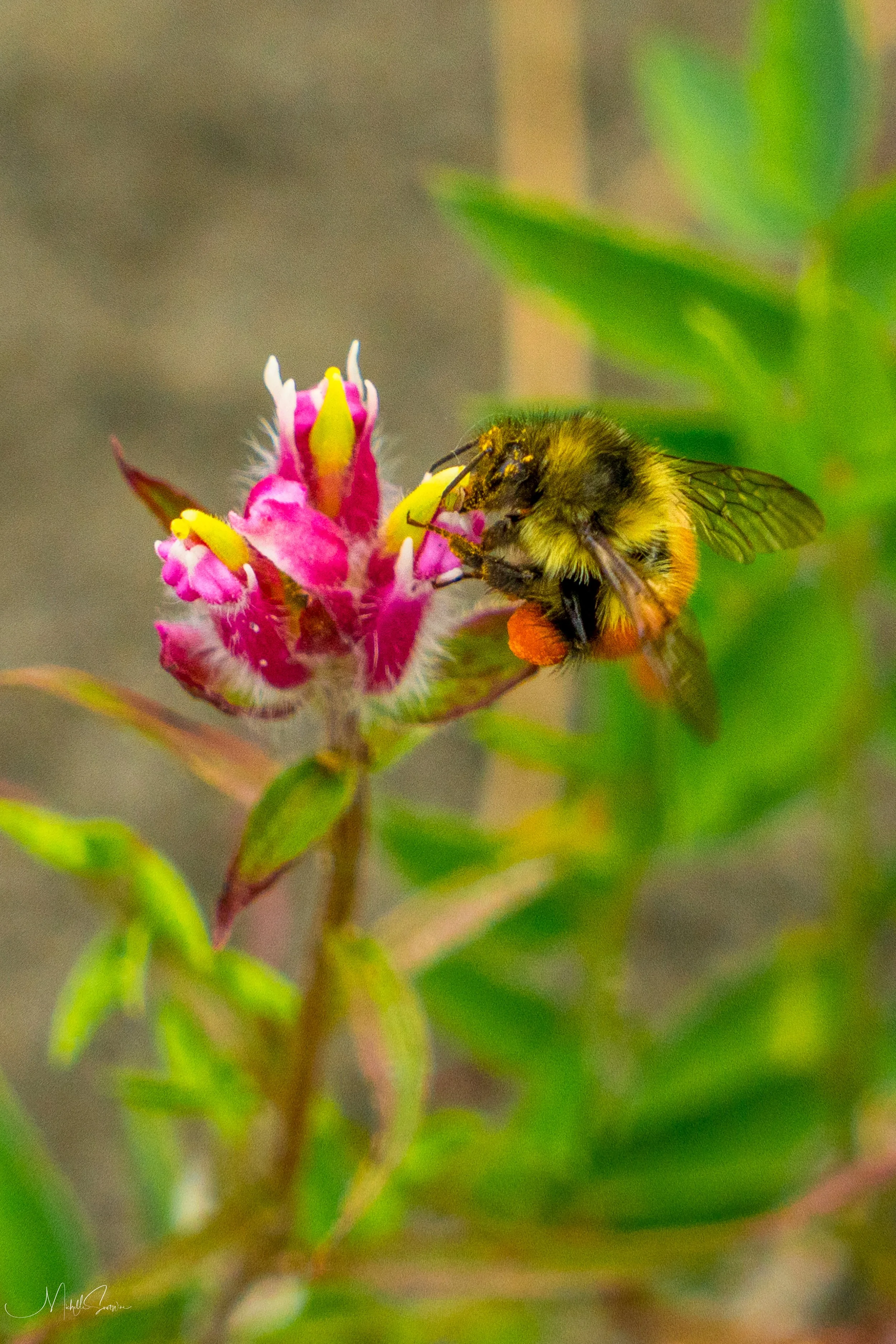 Alaska 2025-06255.jpg