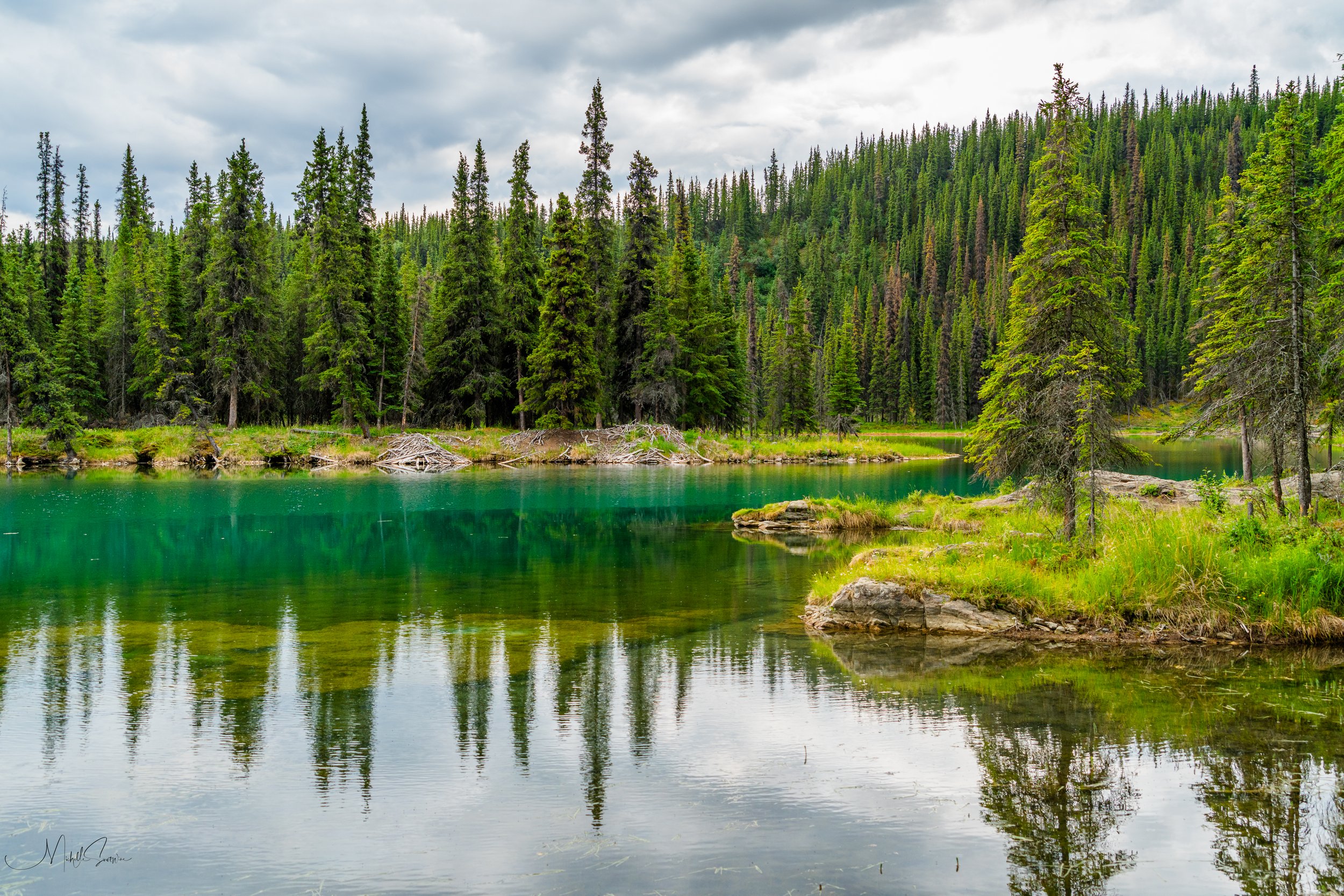 Alaska 2025-06278.jpg