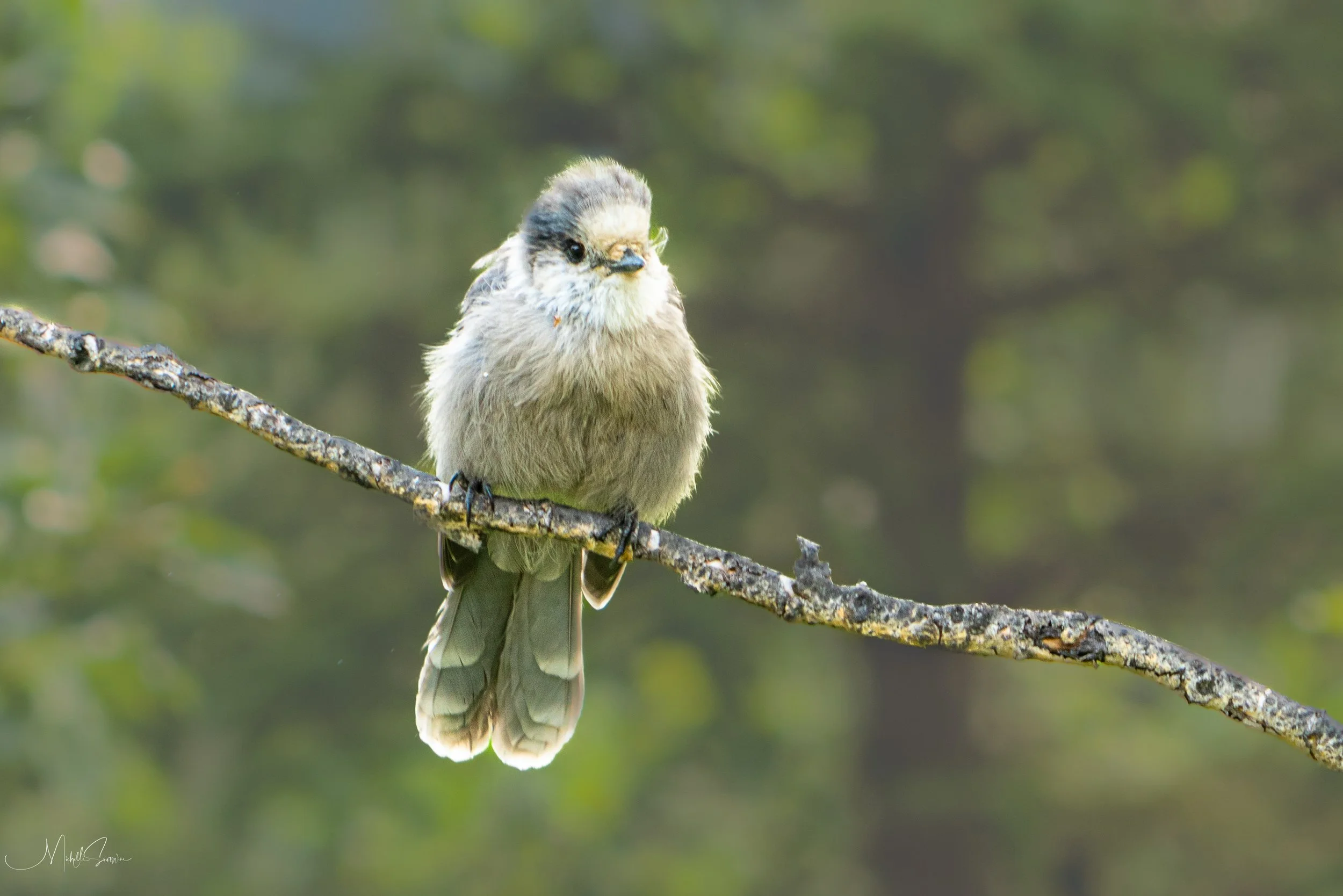 Alaska 2025-06231.jpg