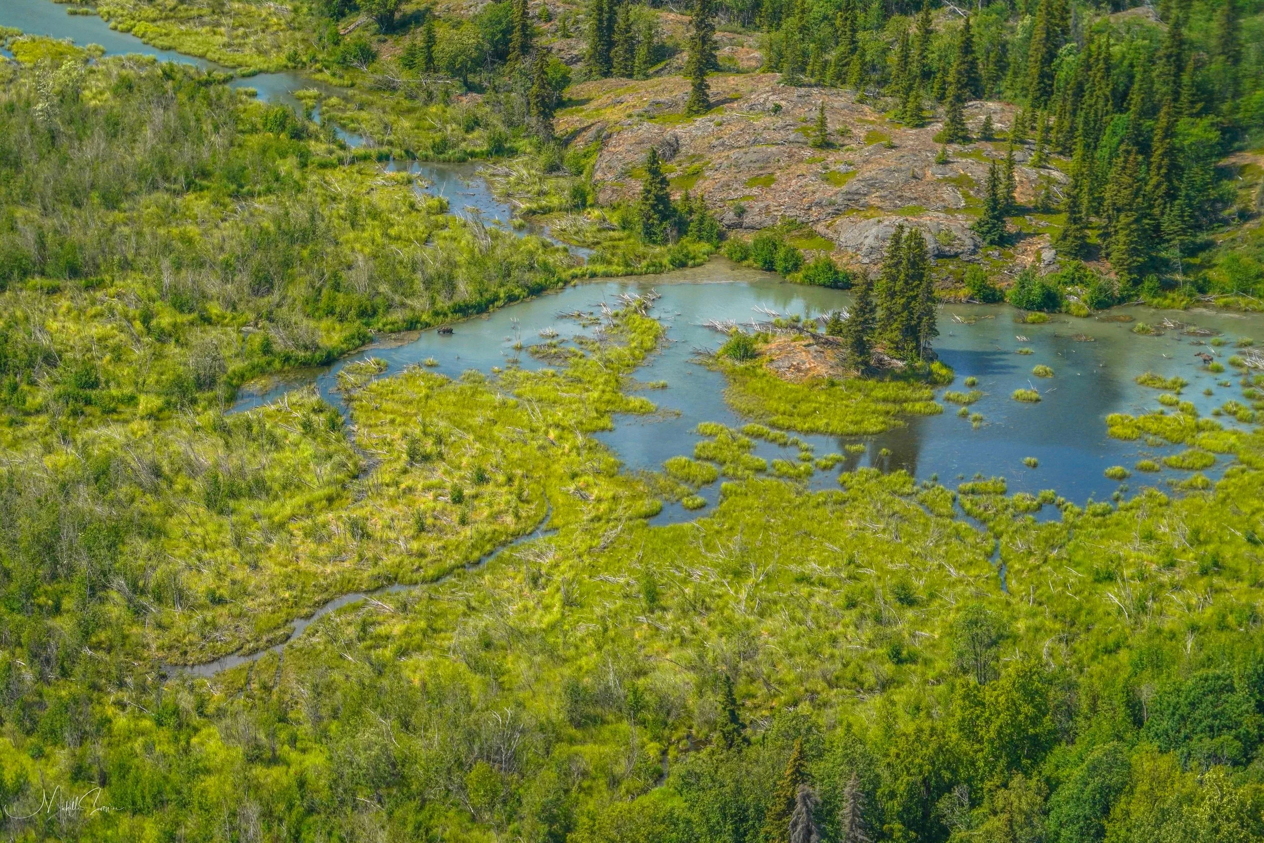 Alaska 2025-06114.jpg