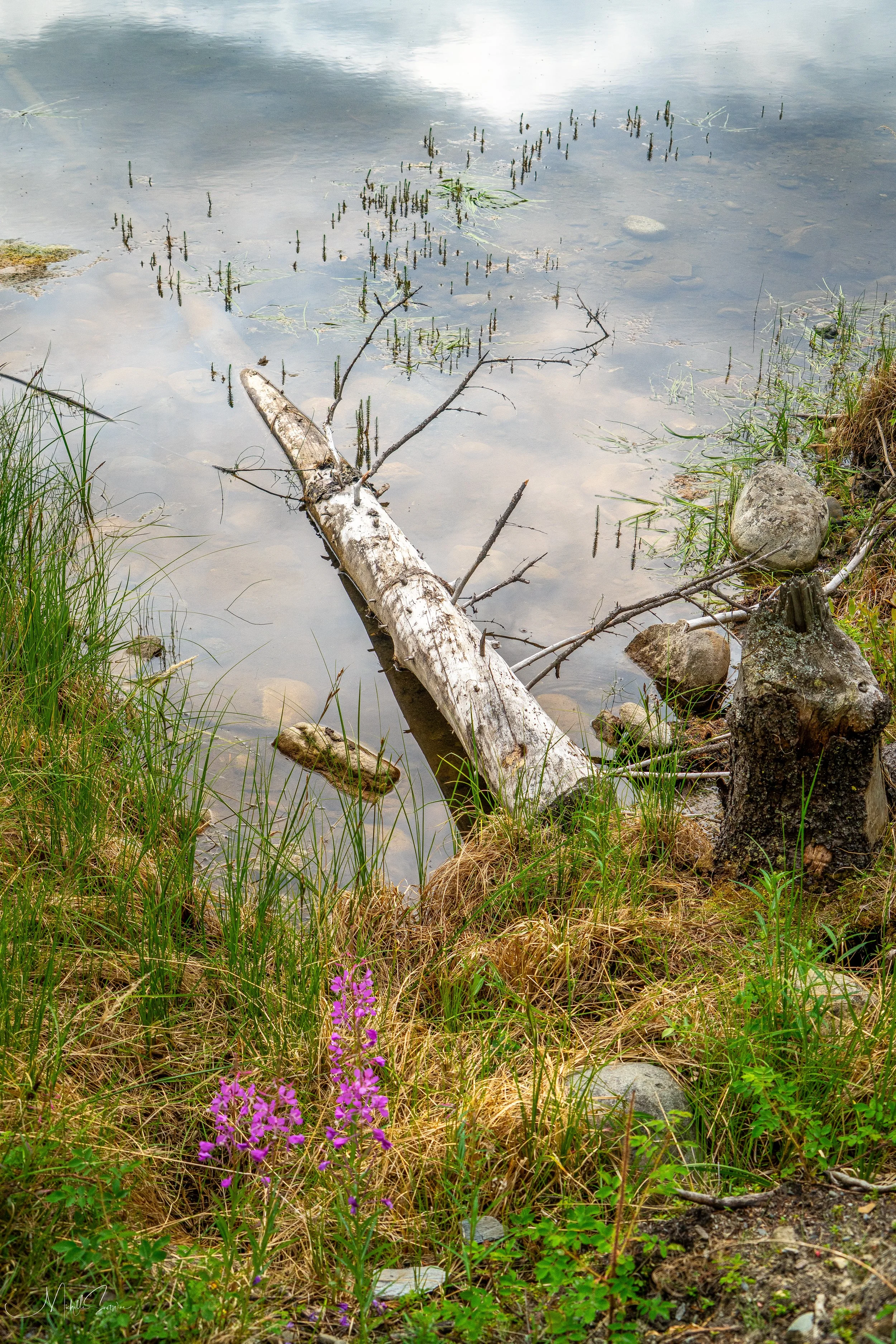 Alaska 2025-06295.jpg