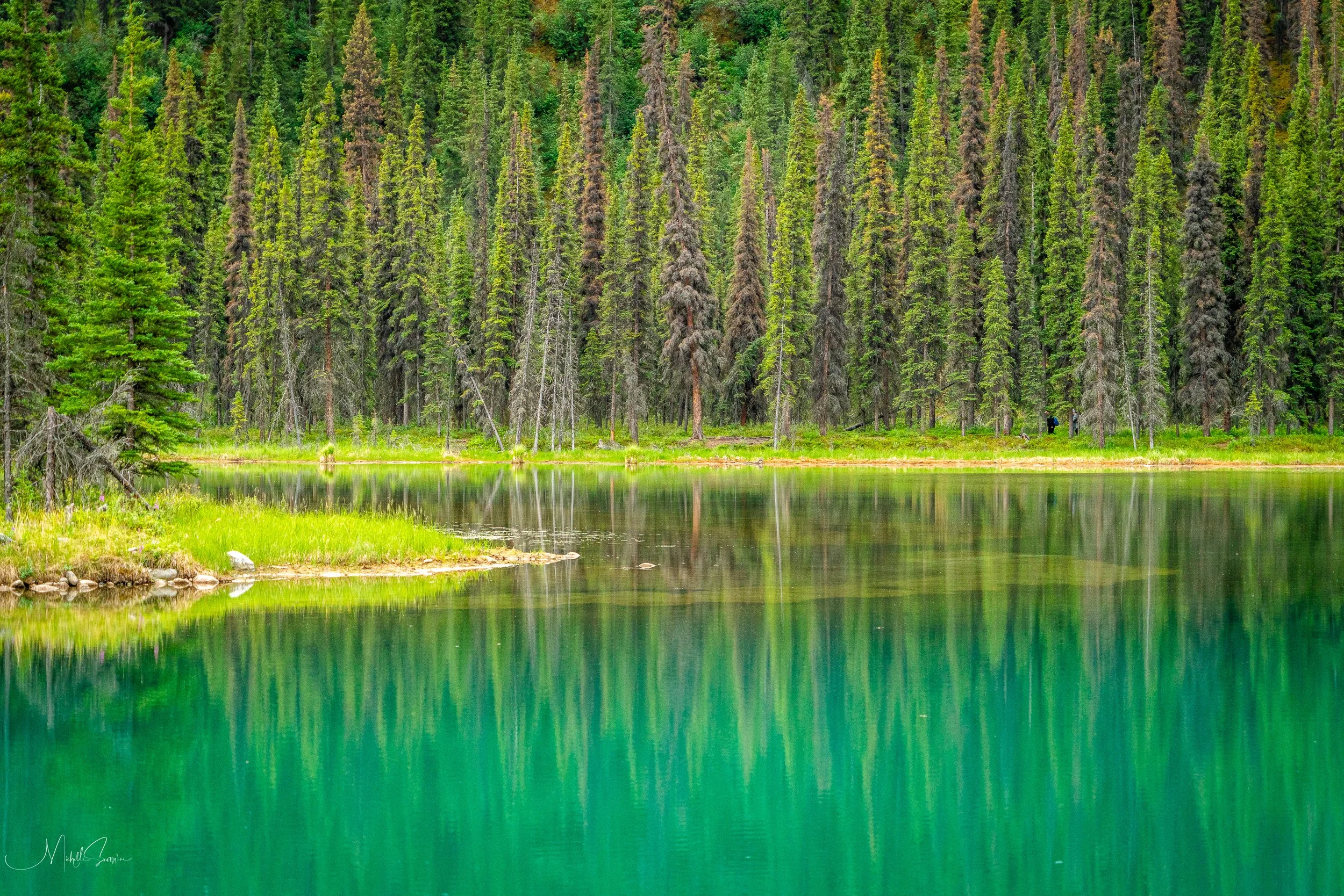 Alaska 2025-06292.jpg