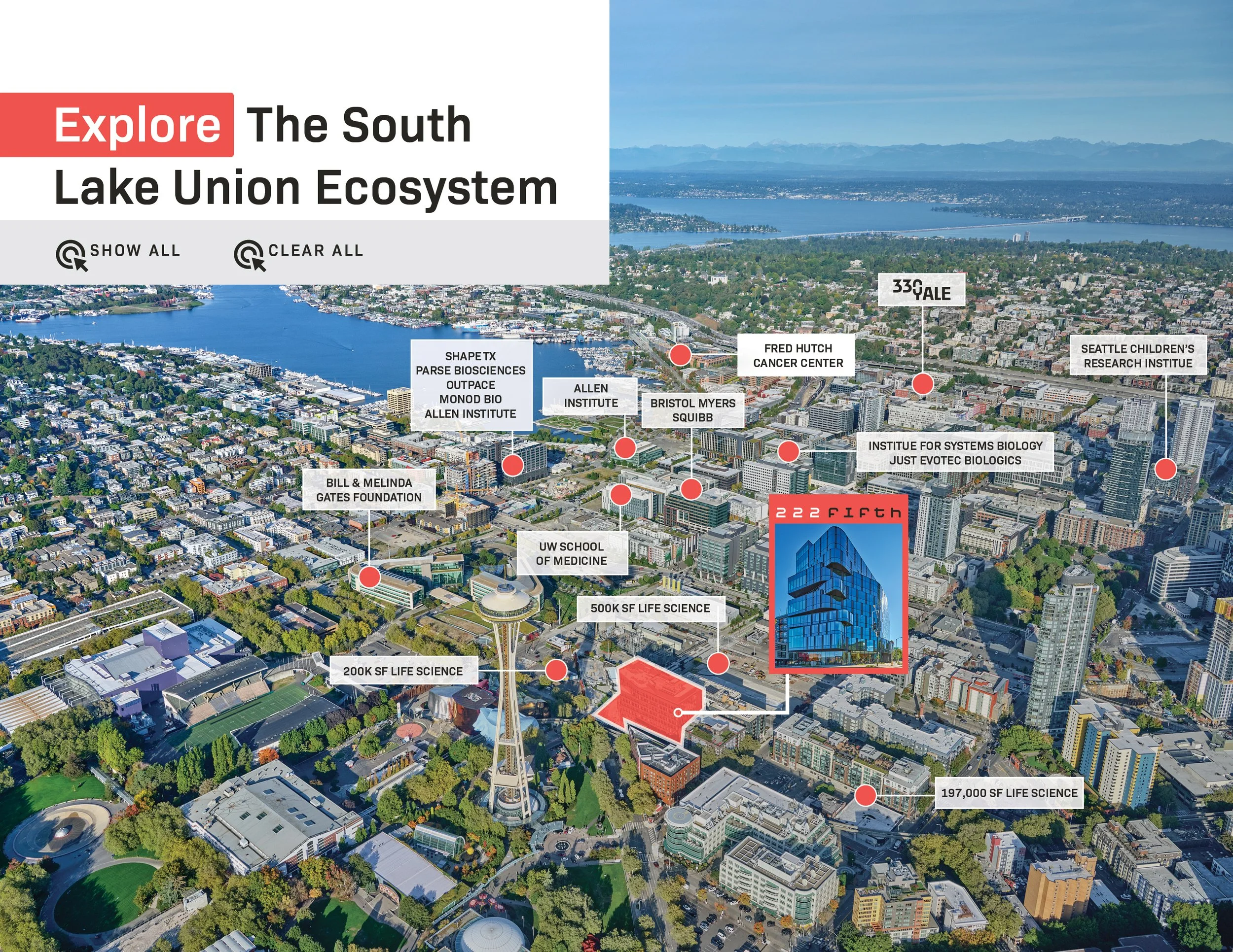 222 5th Ave_Labs_REFRESH BRO_V55.jpg