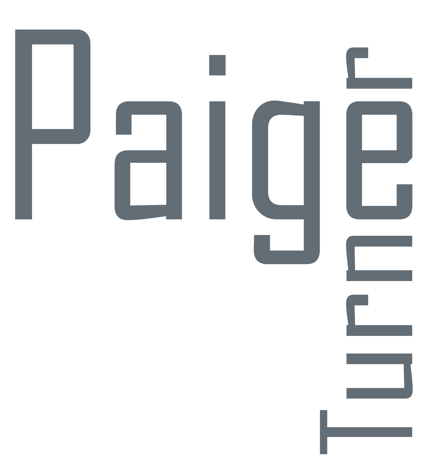 Paige Turner