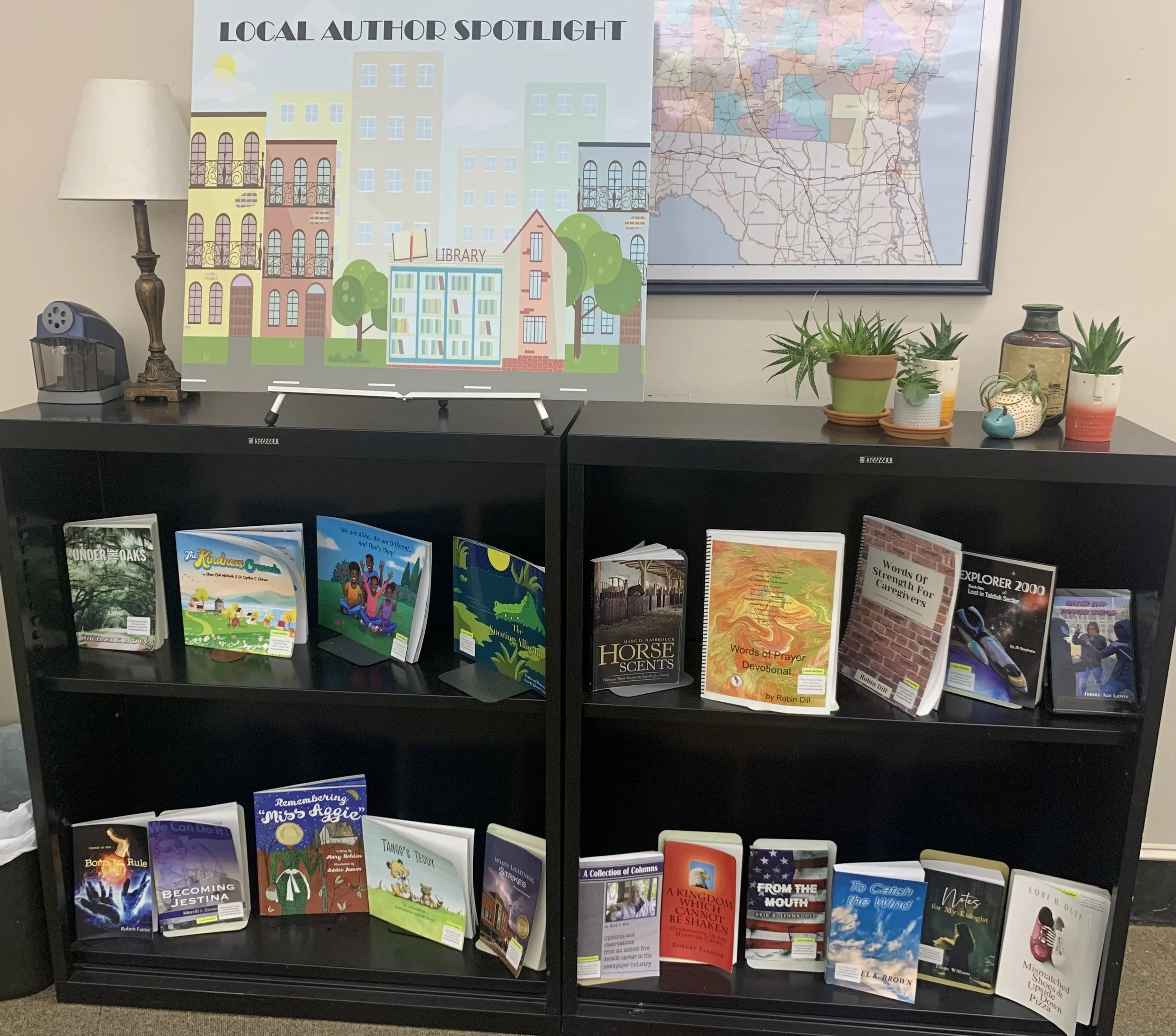 Local Author display