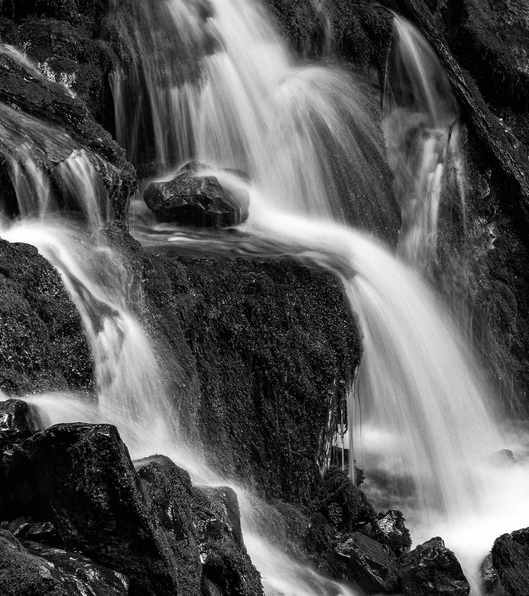 JBP-BW-Z72_0815-Edit.jpg