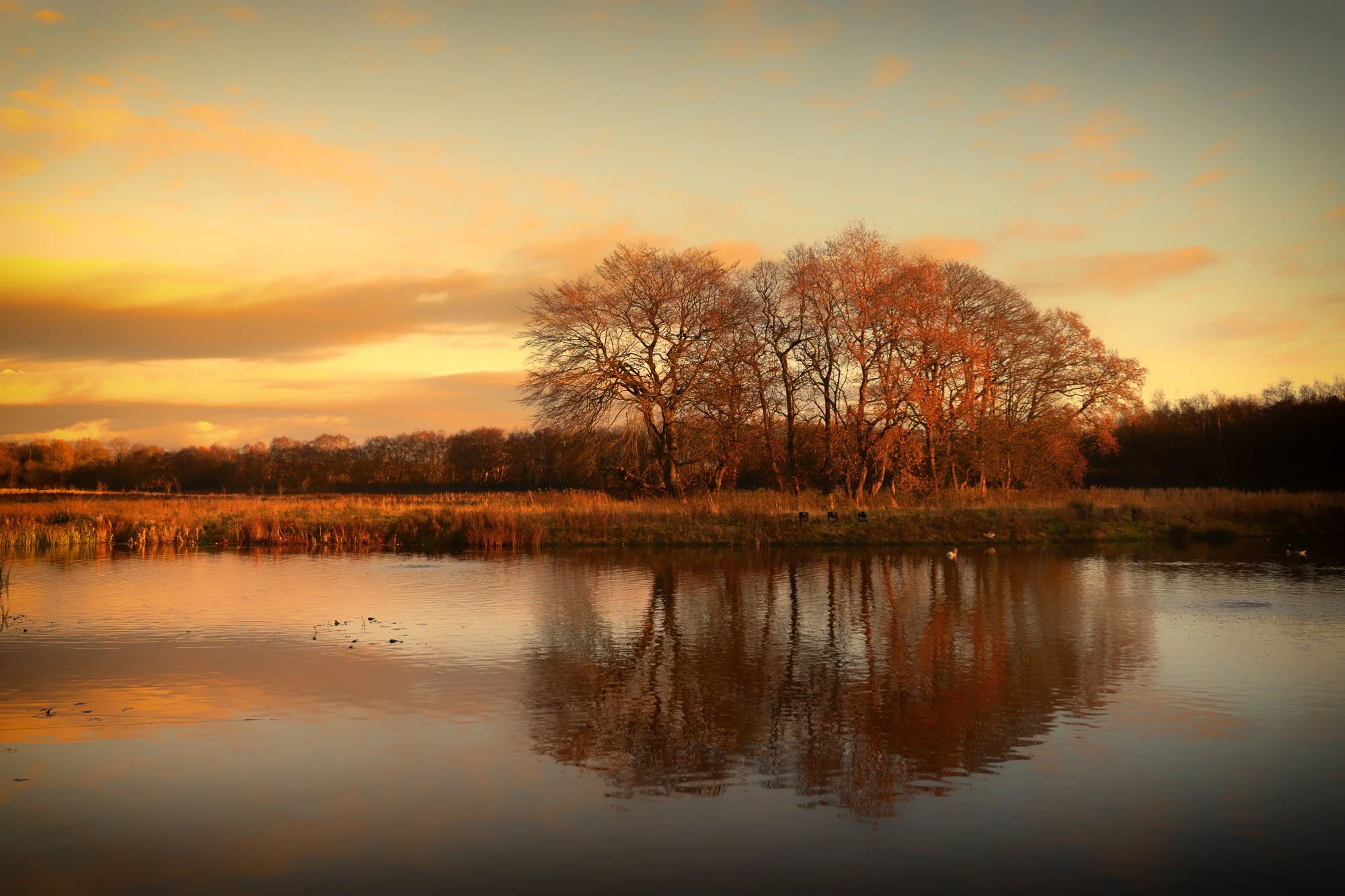 JBP-Landscapes-Z72_9241-Edit.jpg