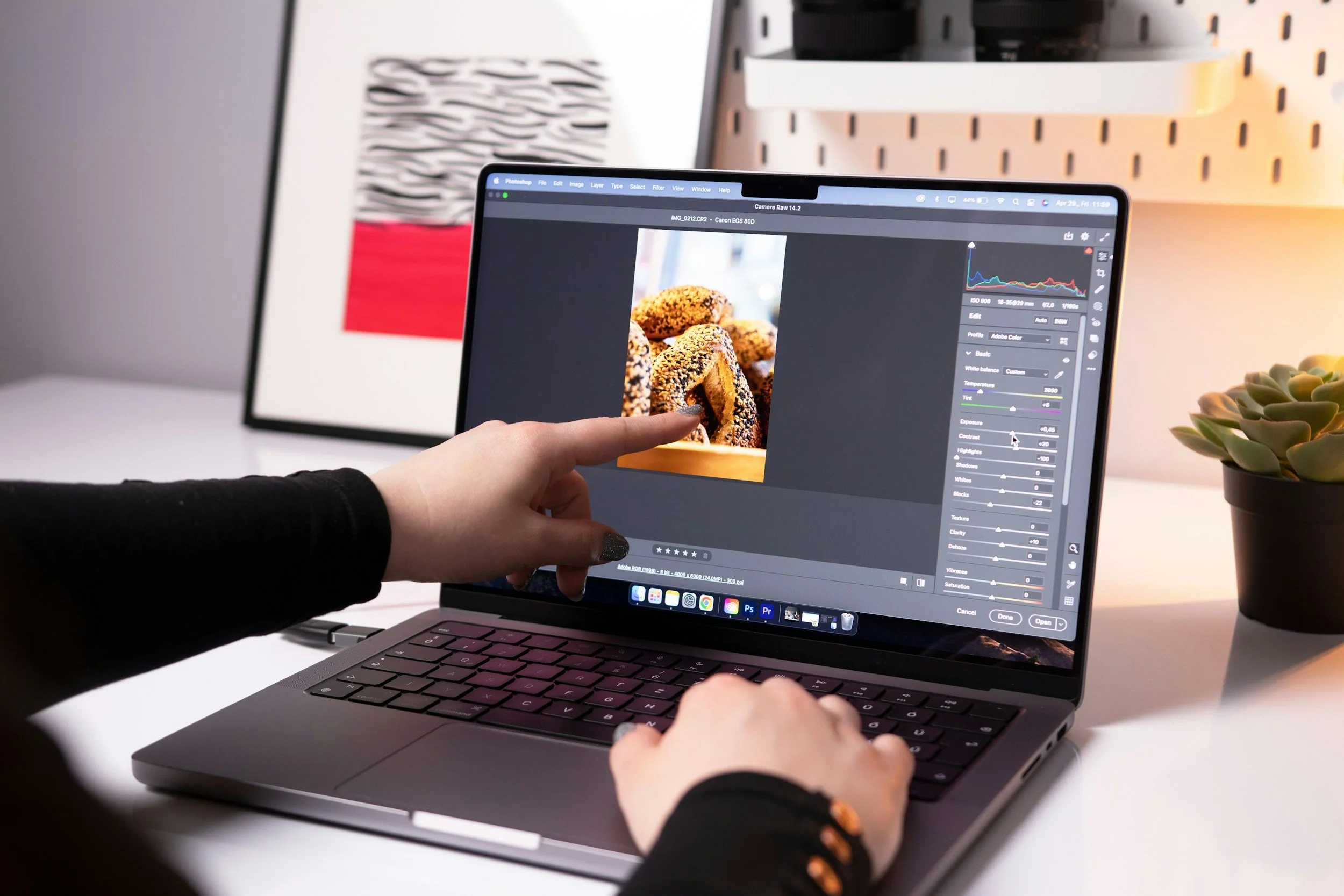 A person editing photos on a laptop screen with photo editing software, with a framed abstract art and a potted succulent plant in the background.