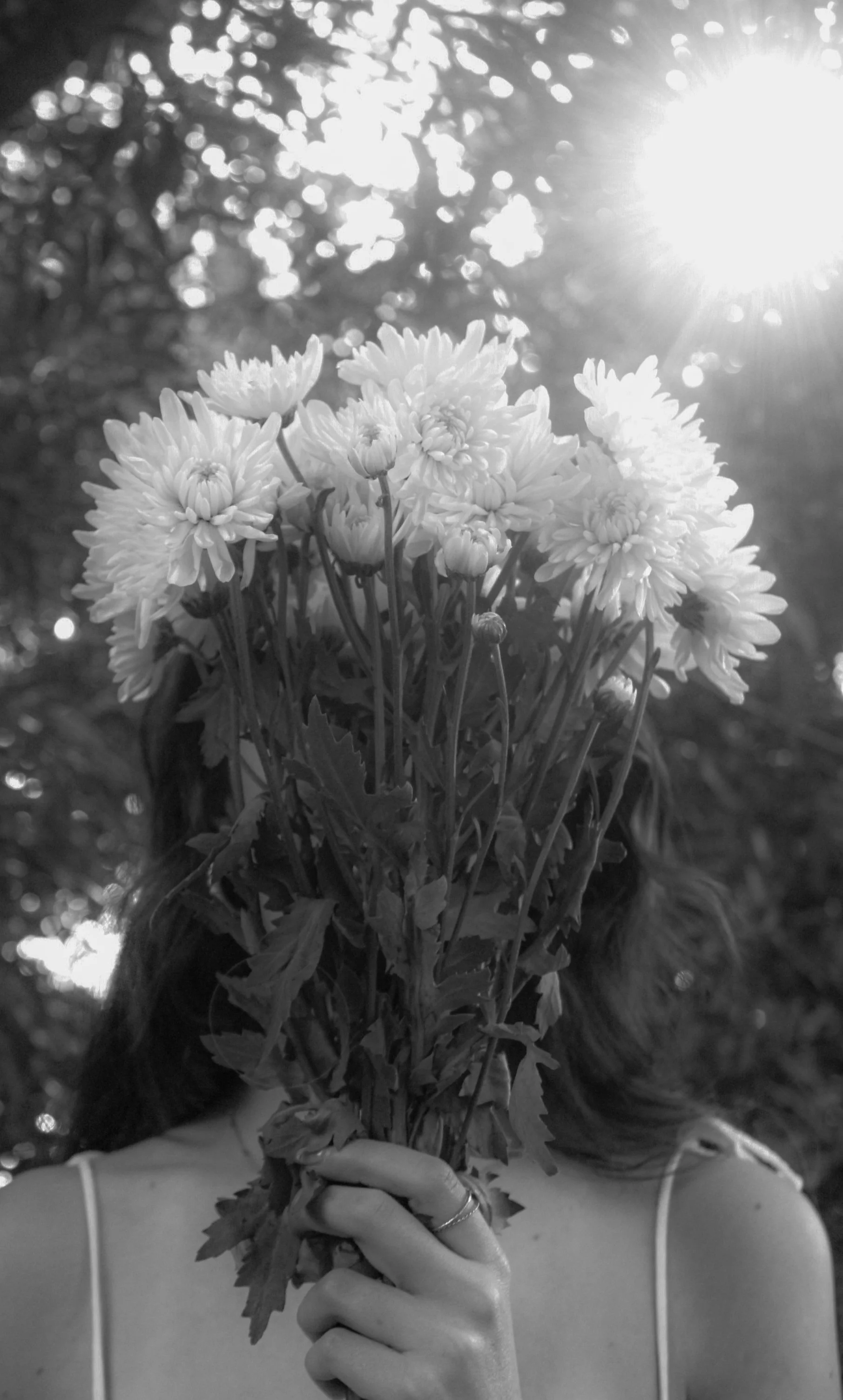 Ellen+photo+project-1.jpg