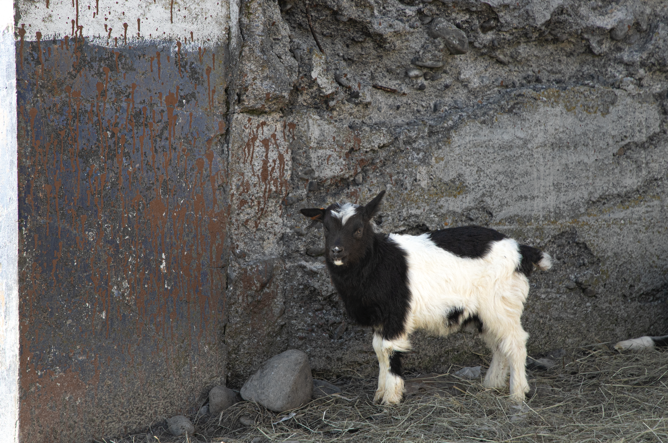 Screen Shot 2023-08-11 at 2.01.16 PM.png