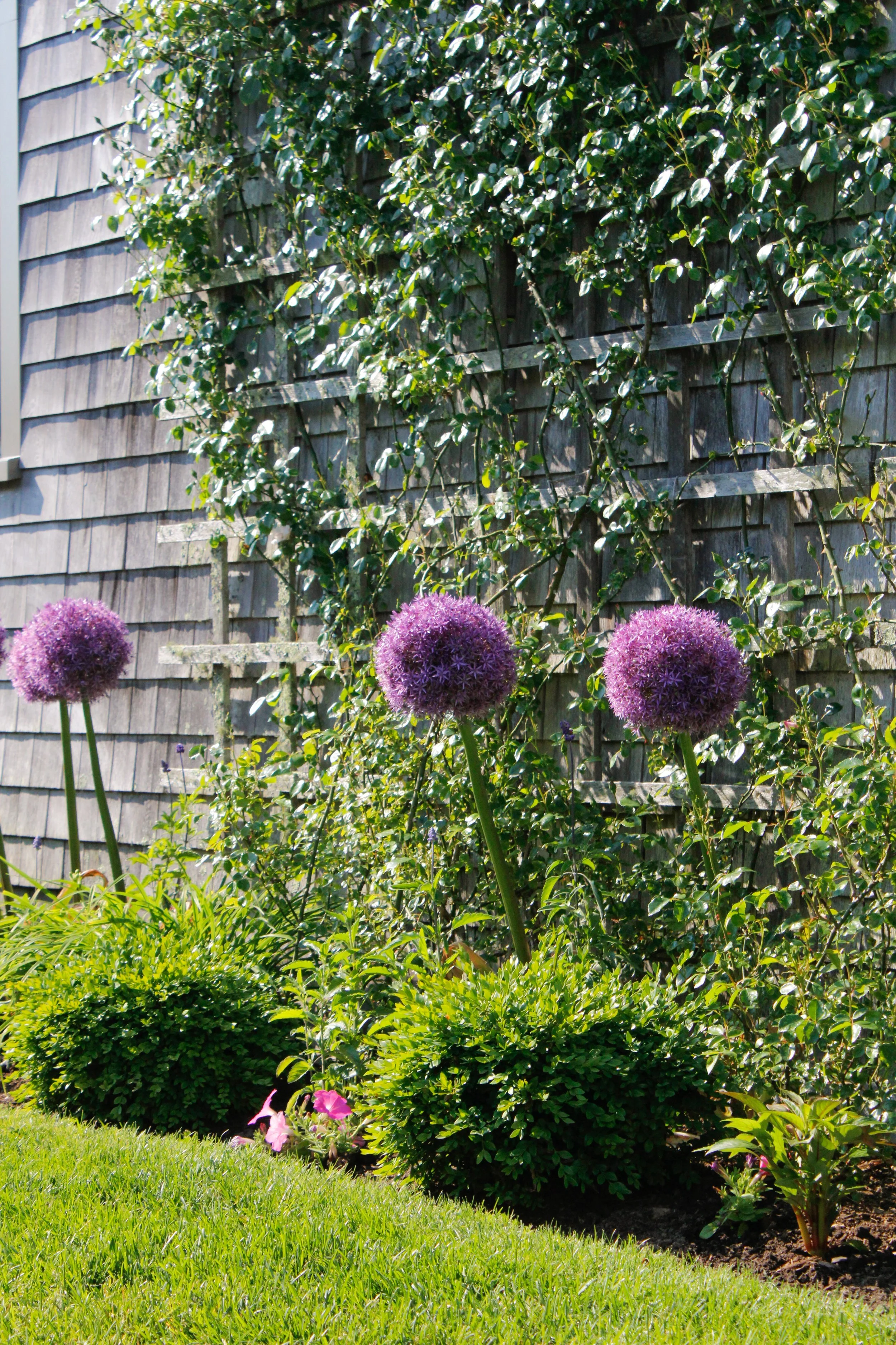 Nantucket-06 copy.jpg