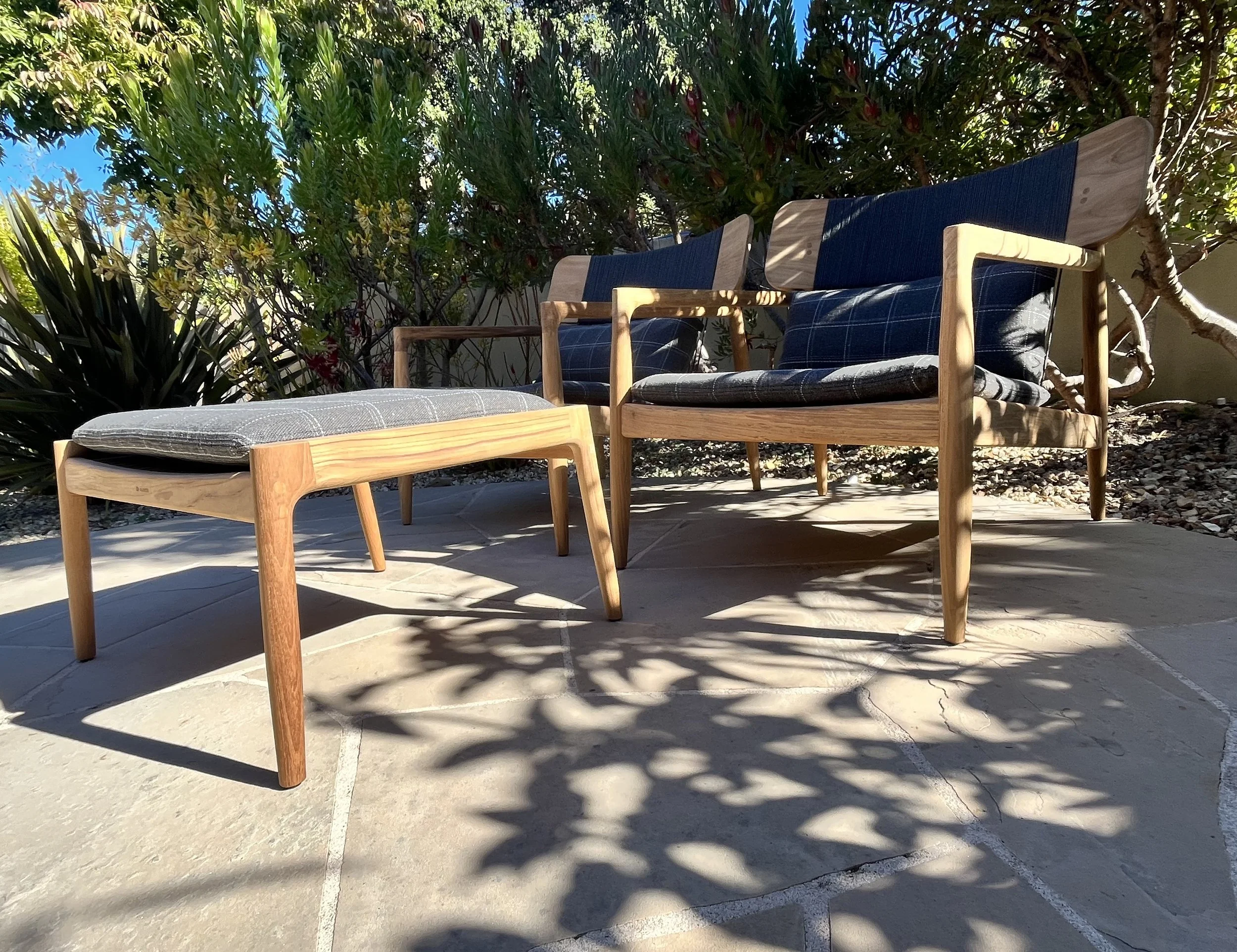 VDez Terrace I 11.15.23.jpeg