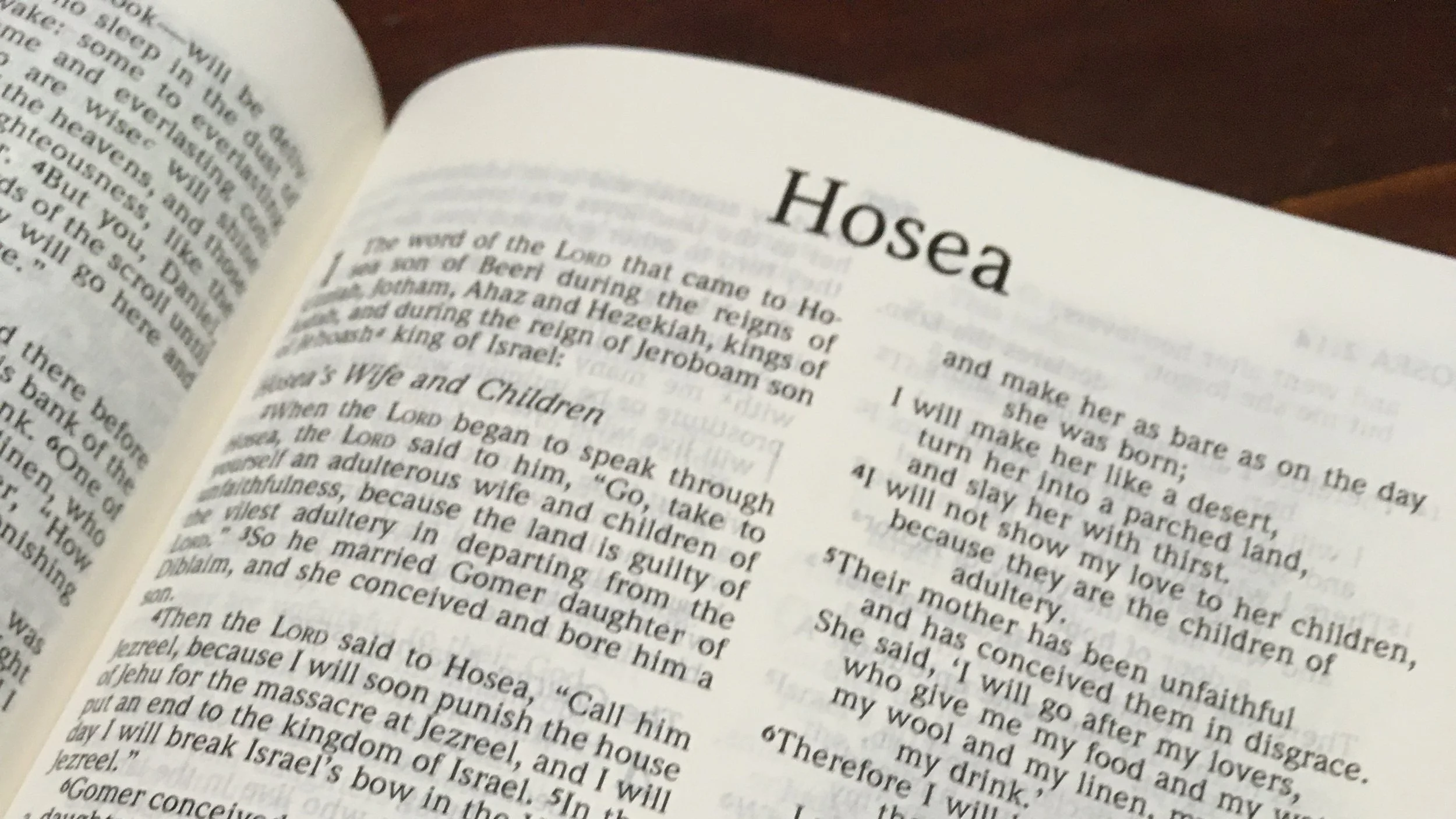 Restored From Above - Hosea 14:1-9