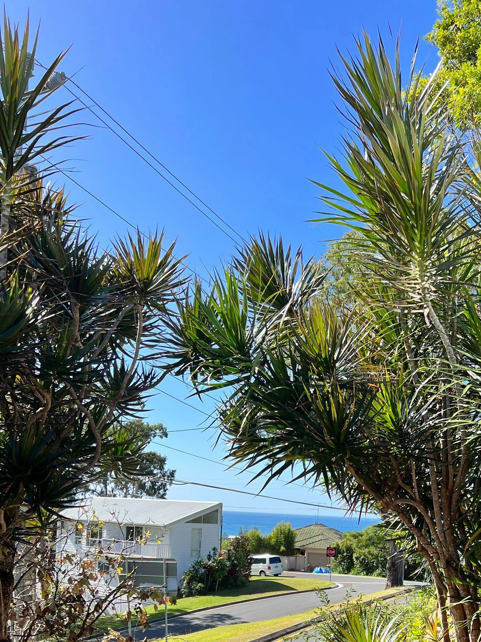 Property purchase with ocean views Maynard Property Group buyer's agent