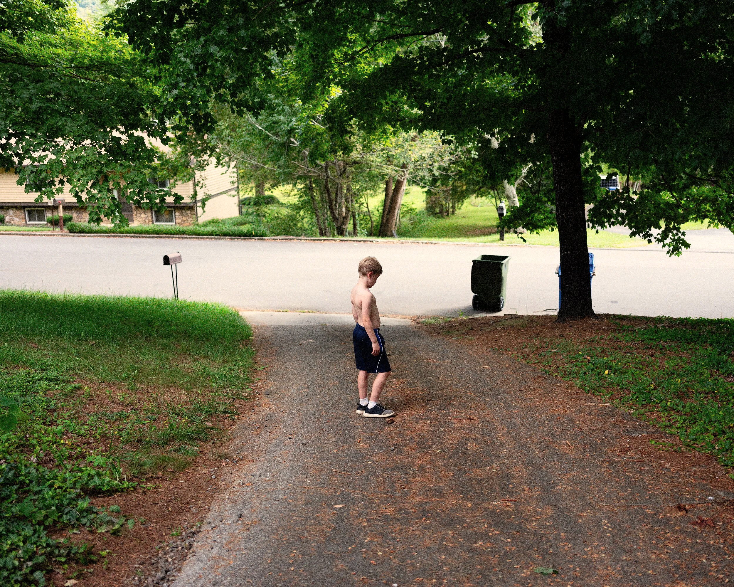 A candid, atmospheric fine art photograph capturing a young boy standing alone at the edge of a paved suburban driveway. Tall, mature trees line the background, casting soft, dappled shadows across the scene under a quiet, overcast sky.