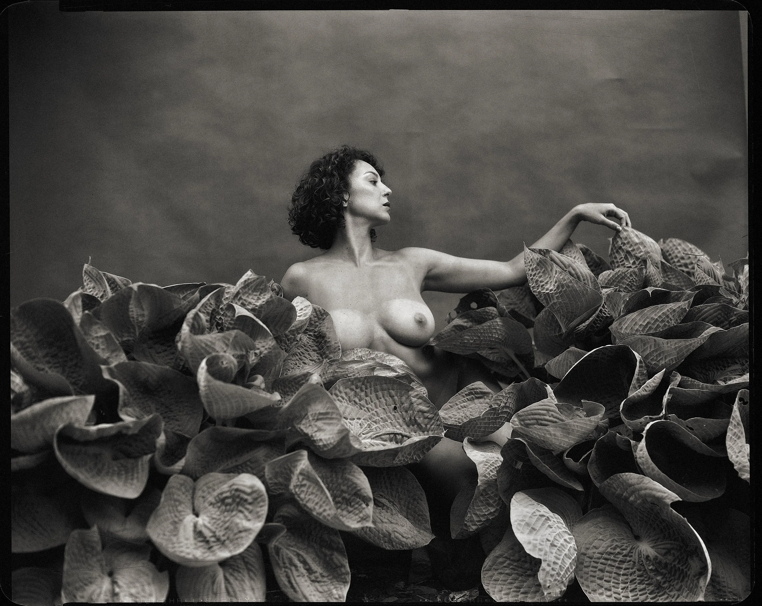 fine-art-nude-photography-sara-large-format-film