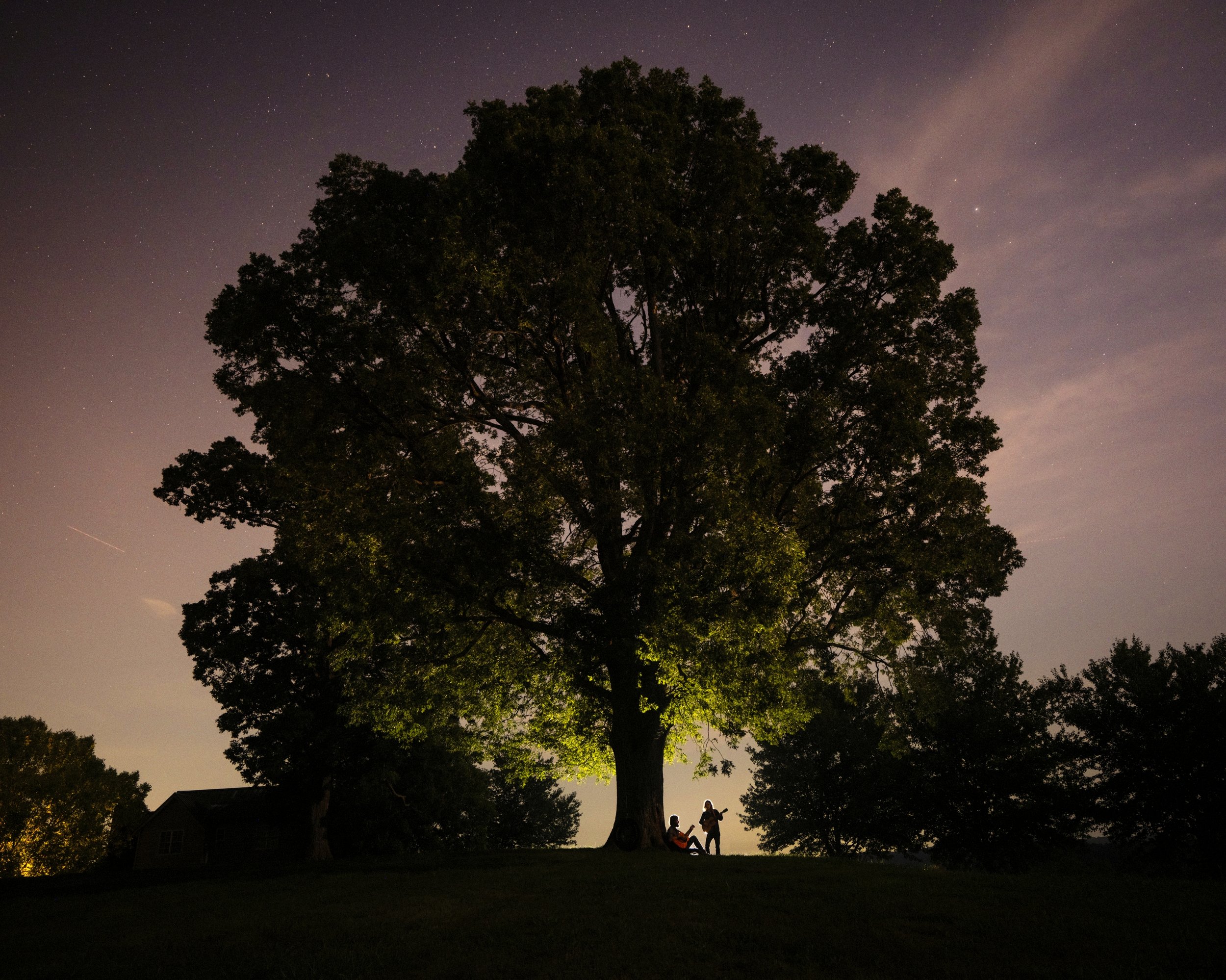Album cover photograph for Celestin by Tyler Ramsey and Carl Broemel, featuring a large illuminated tree at dusk, captured at Windy Hill Farm in Tennessee by Parker J. Pfister.