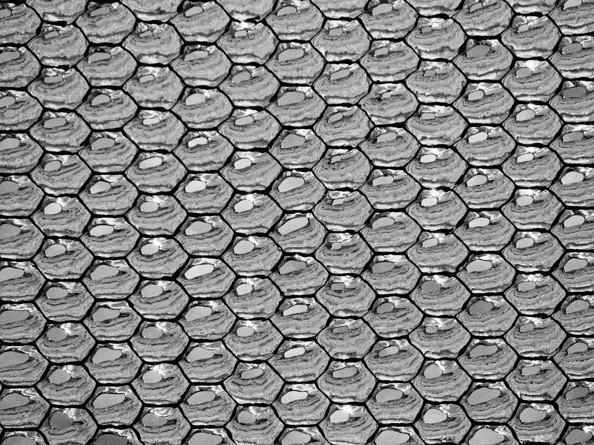 A abstract, close-up black and white photograph of a chicken wire fence covered in a delicate layer of frozen ice and frost, from One Way Out, Lord by Parker J Pfister.