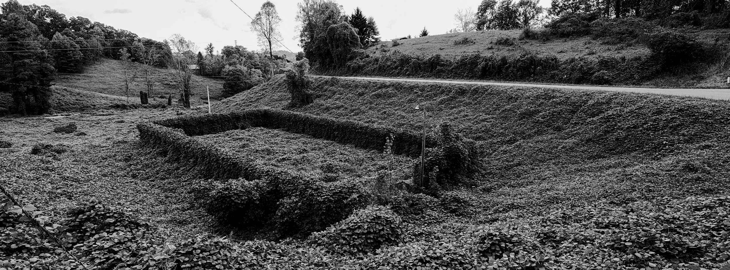 A Panoramic black and white documentary photograph showing the abandoned Marshall Country Club in Madison County, North Carolina, featuring an old tennis court completely overtaken and carpeted by a thick layer of invasive kudzu vines.