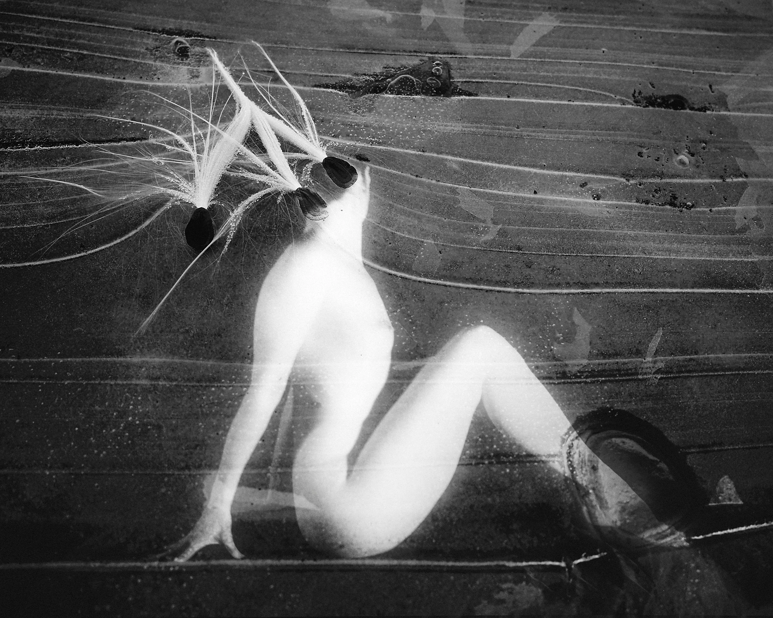 A high-contrast black and white in-camera double exposure combining a fine art nude silhouette of a sitting woman with organic, textured outdoor ice formations that appear to branch out from the head milkweed.