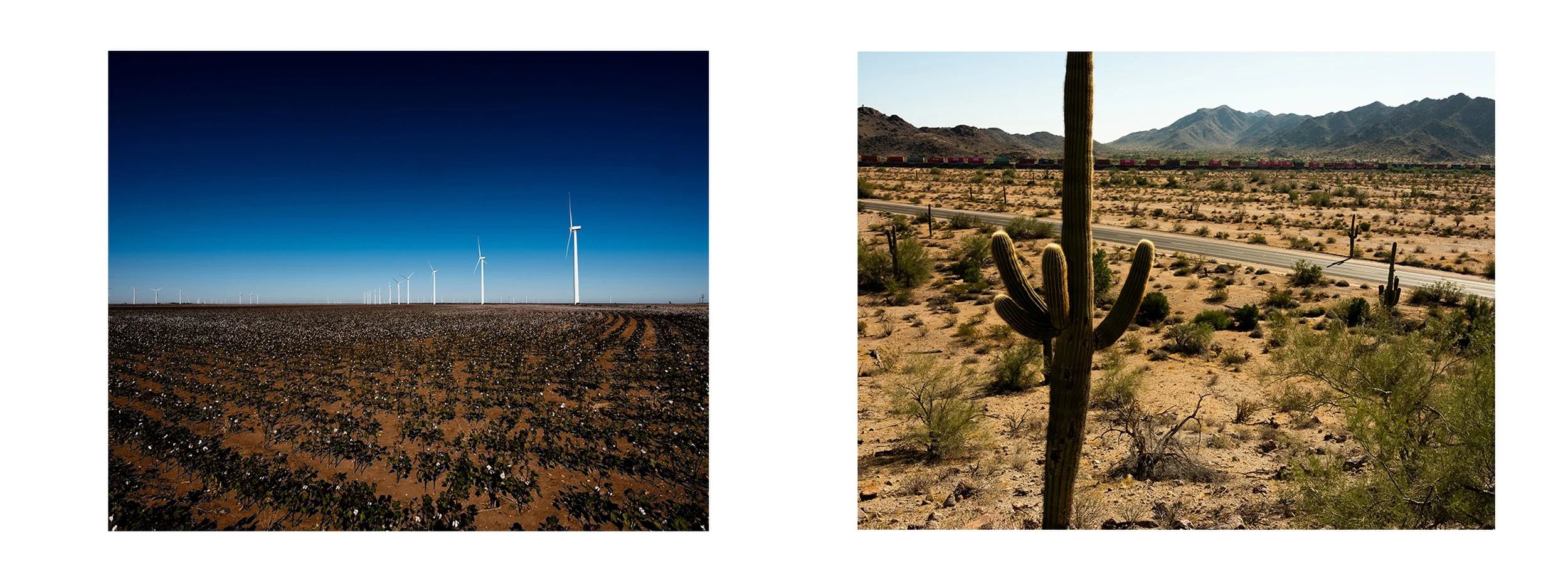 Side-by-side color documentary photographs of massive wind turbines standing in a vast agricultural field and a tall Saguaro cactus beside a desert highway, from the Connecting Hwy 80 series by Parker J Pfister.