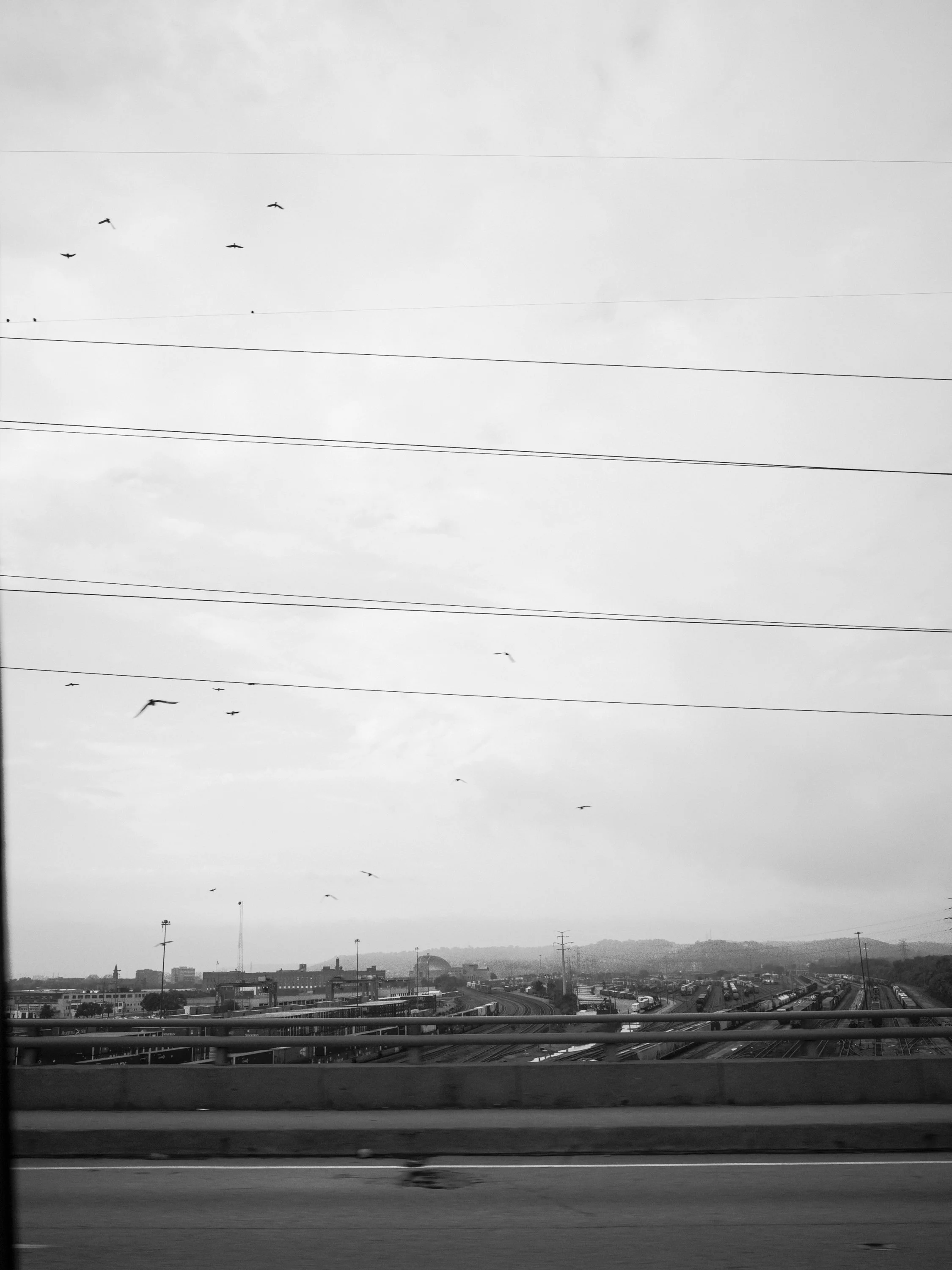 A multi-pane black and white documentary photograph of massive concrete utility poles and power lines crowded with birds stretching across a flat Ohio landscape, from One Way Out, Lord by Parker J Pfister.