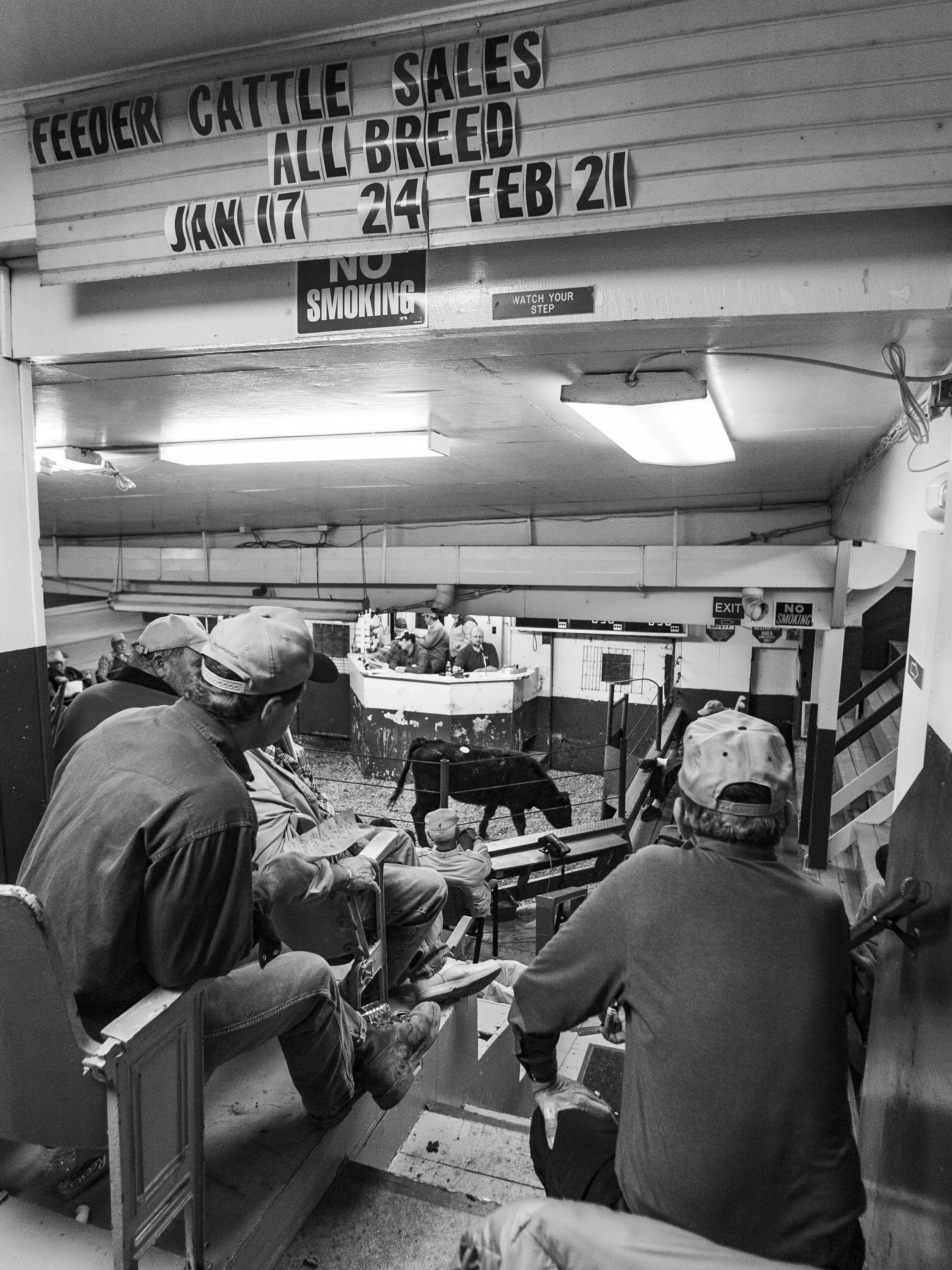 A high-contrast black and white photograph from the stands of the Union Stockyards in Hillsboro, Ohio, showing buyers watching the ring beneath a large sign advertising upcoming feeder cattle sales, from One Way Out, Lord by Parker J Pfister.