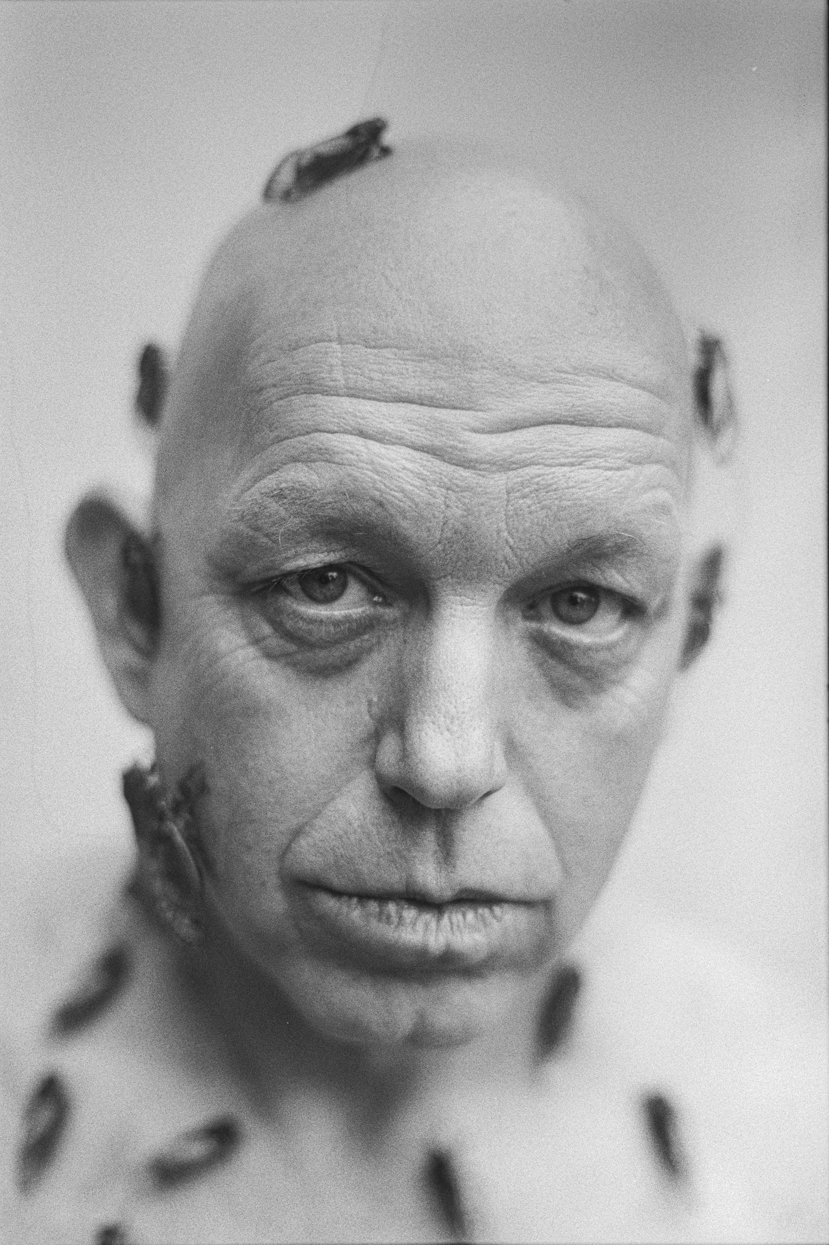 A powerful, close-up fine art 35mm film portrait capturing the intense gaze of a man with cicadas resting on his head
