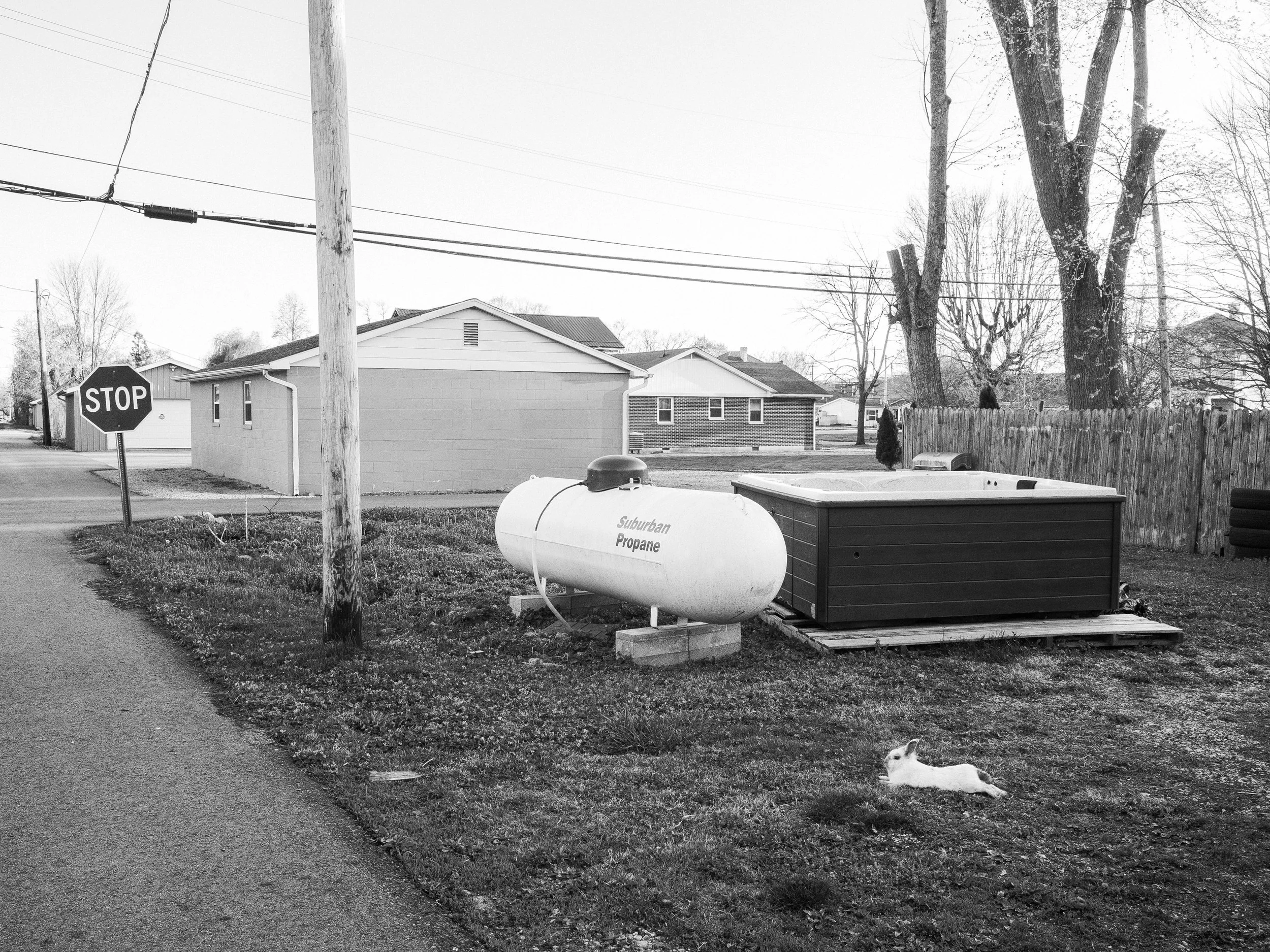 A black and white documentary photograph of a neighborhood backyard featuring a white propane tank, a hot tub, a stop sign, and a small white rabbit resting on the grass, from One Way Out, Lord by Parker J Pfister.