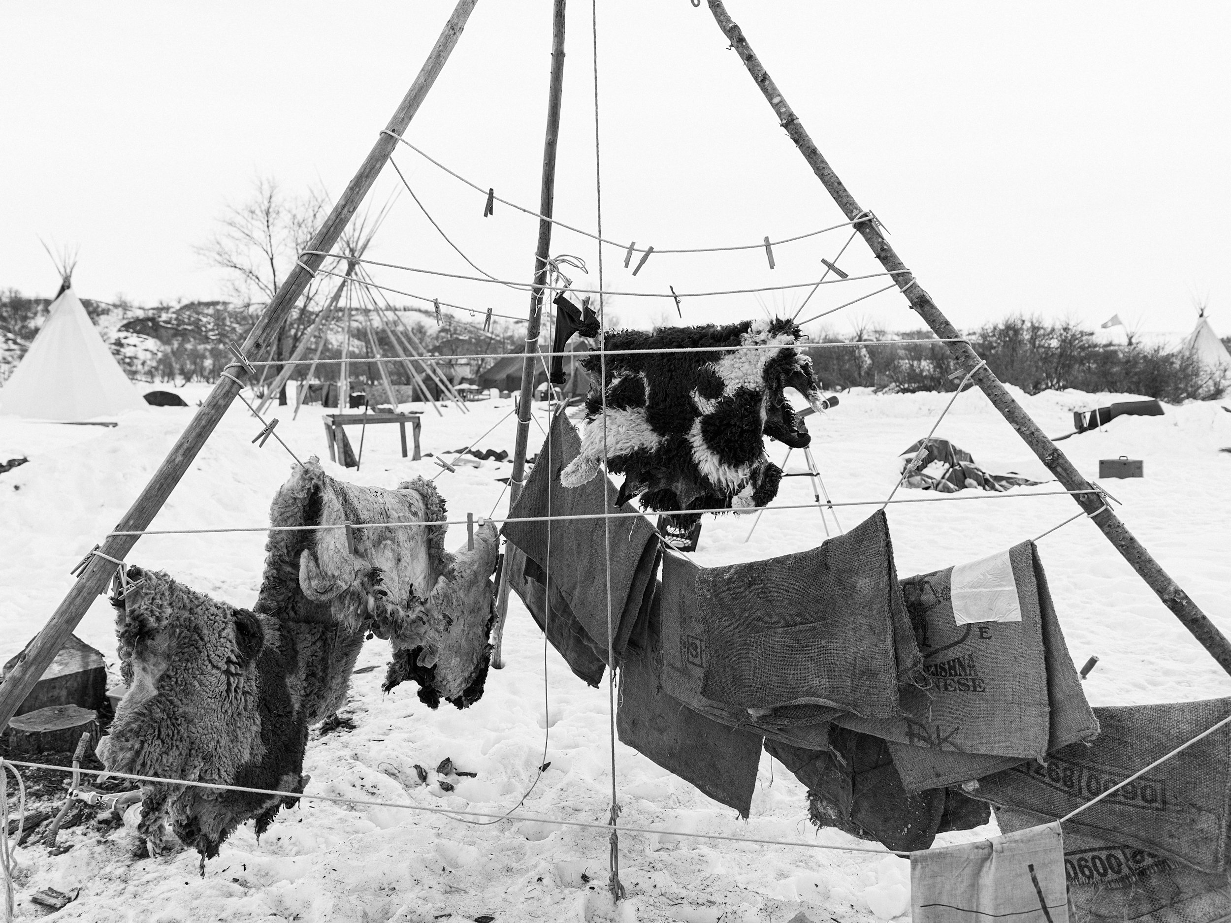 Black and white documentary photograph of an outdoor winter camp scene at Standing Rock, featuring several animal hides and burlap coffee sacks hanging to dry with clothespins on a large, triangular wooden pole frame in a snow-covered field.