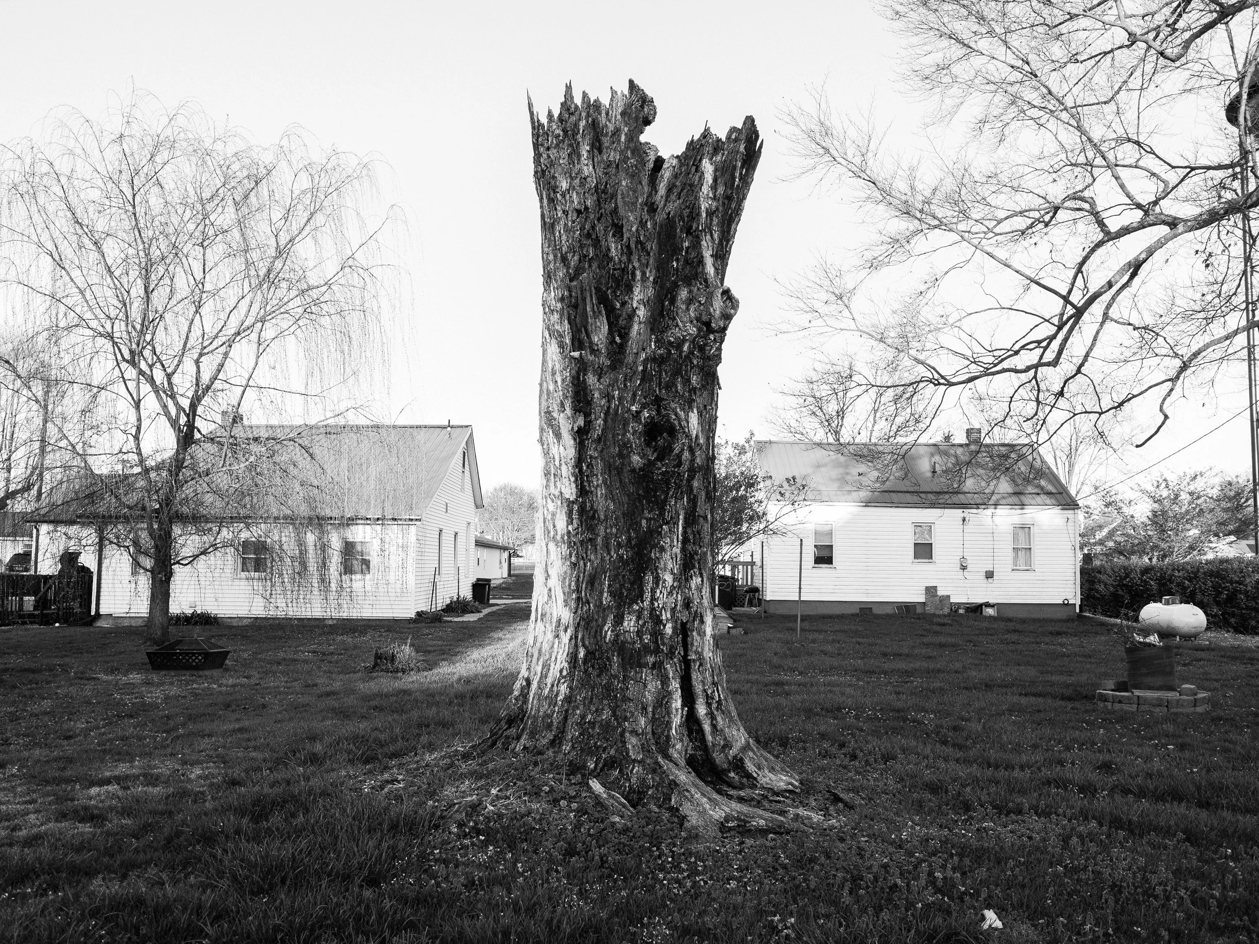 A powerful black and white environmental photograph of a large, jagged broken tree trunk standing in a yard between two residential houses, from the One Way Out, Lord documentary series by Parker J Pfister.