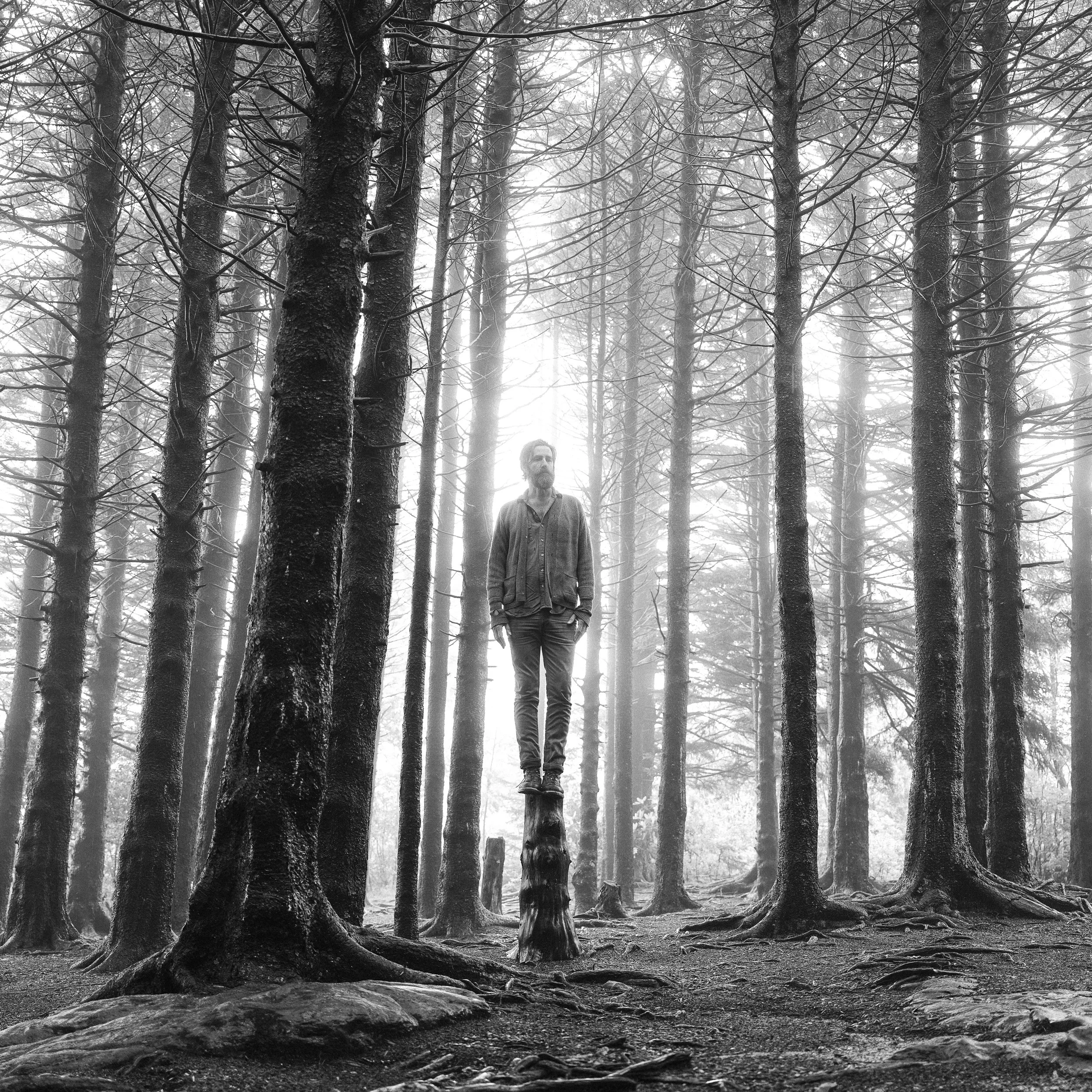 tmospheric black-and-white photograph of musician Tyler Ramsey of Band of Horses standing centrally on a stump in a dense, tall pine forest with soft, filtered light glowing through the canopy.