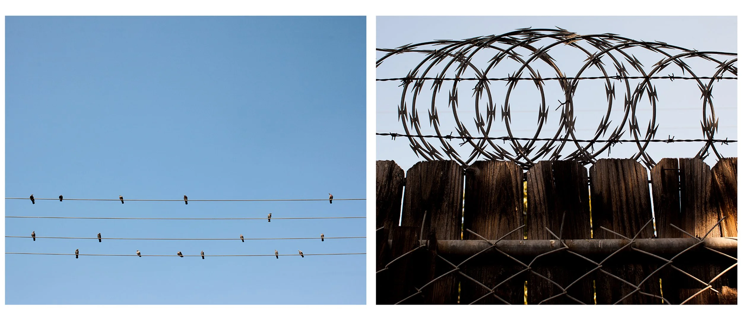 Side-by-side color photographs of birds resting on telephone lines contrasted with sharp razor wire atop a wooden fence, from the Connecting Hwy 80 series by Parker J Pfister.