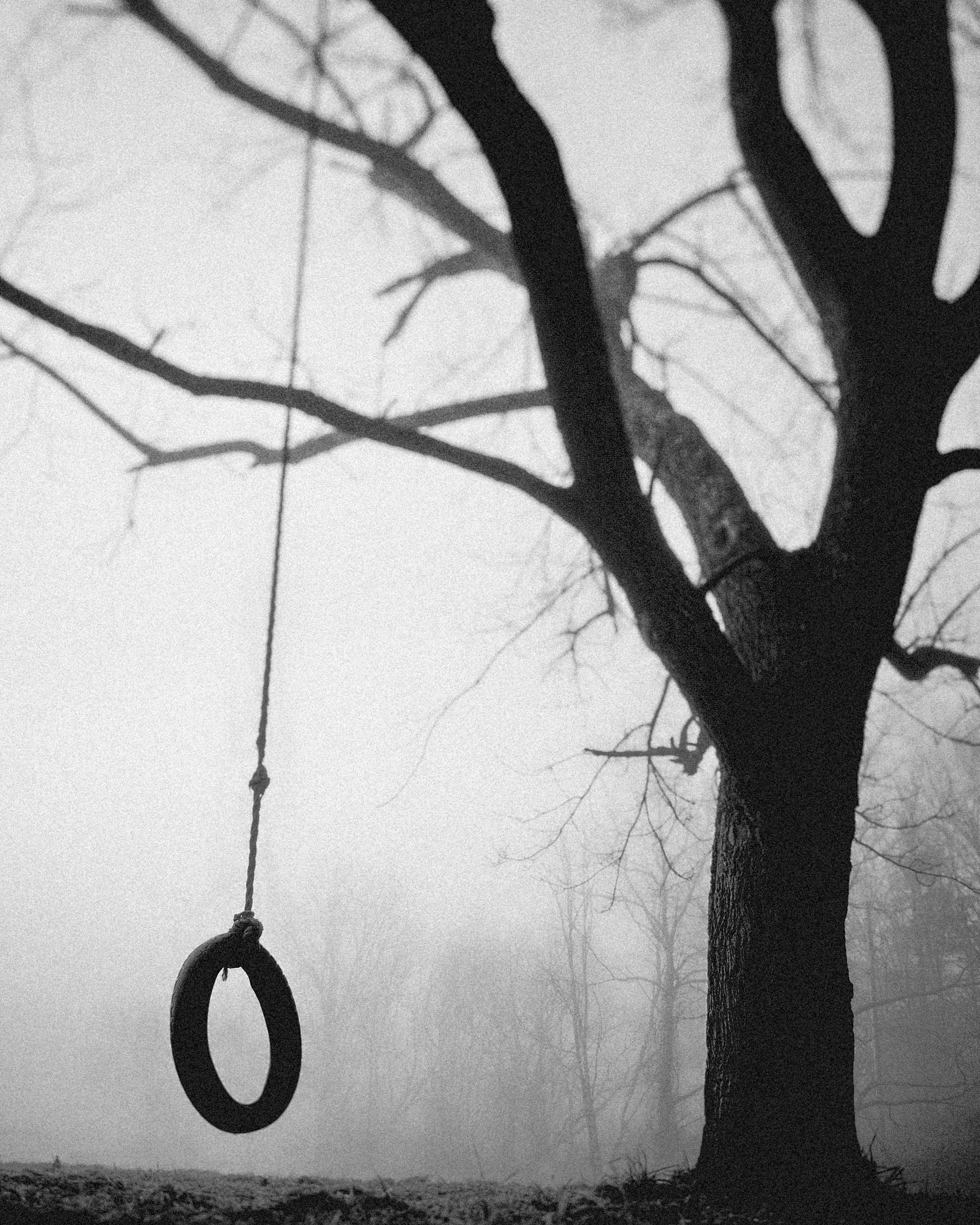 A quiet, moody black and white photograph of a lone tire swing hanging from a large, bare tree branch on a foggy morning in the mountains of Western North Carolina.