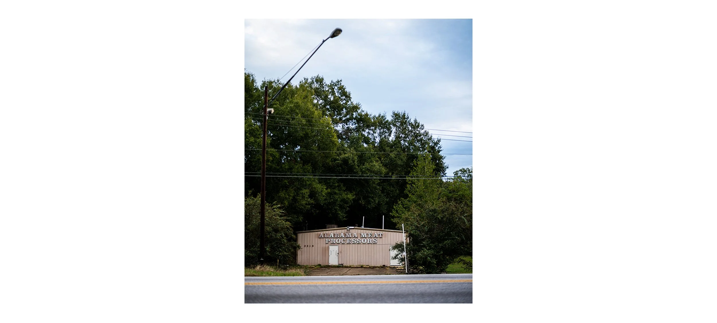 A color documentary photograph of the isolated Alabama Meat Processors building along a tree-lined roadside, from the Connecting Hwy 80 photography project by Parker J Pfister.