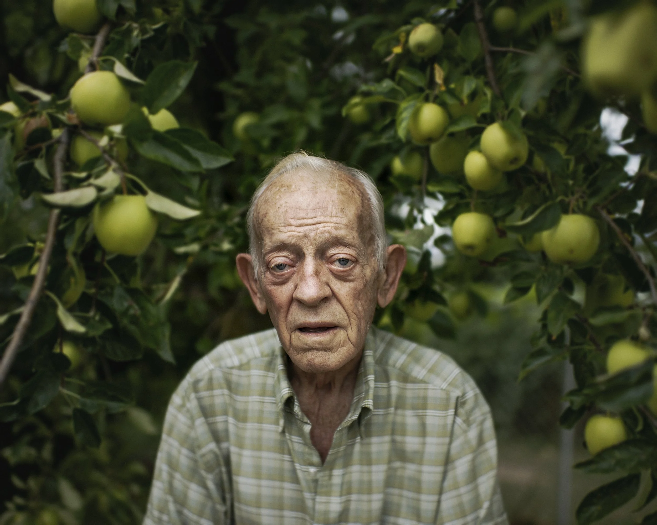 A powerful color portrait of an older man in a green plaid shirt standing under an apple tree, framed by vibrant green apples and leaves hanging from the branches, from the One Way Out, Lord series by Parker J Pfister.