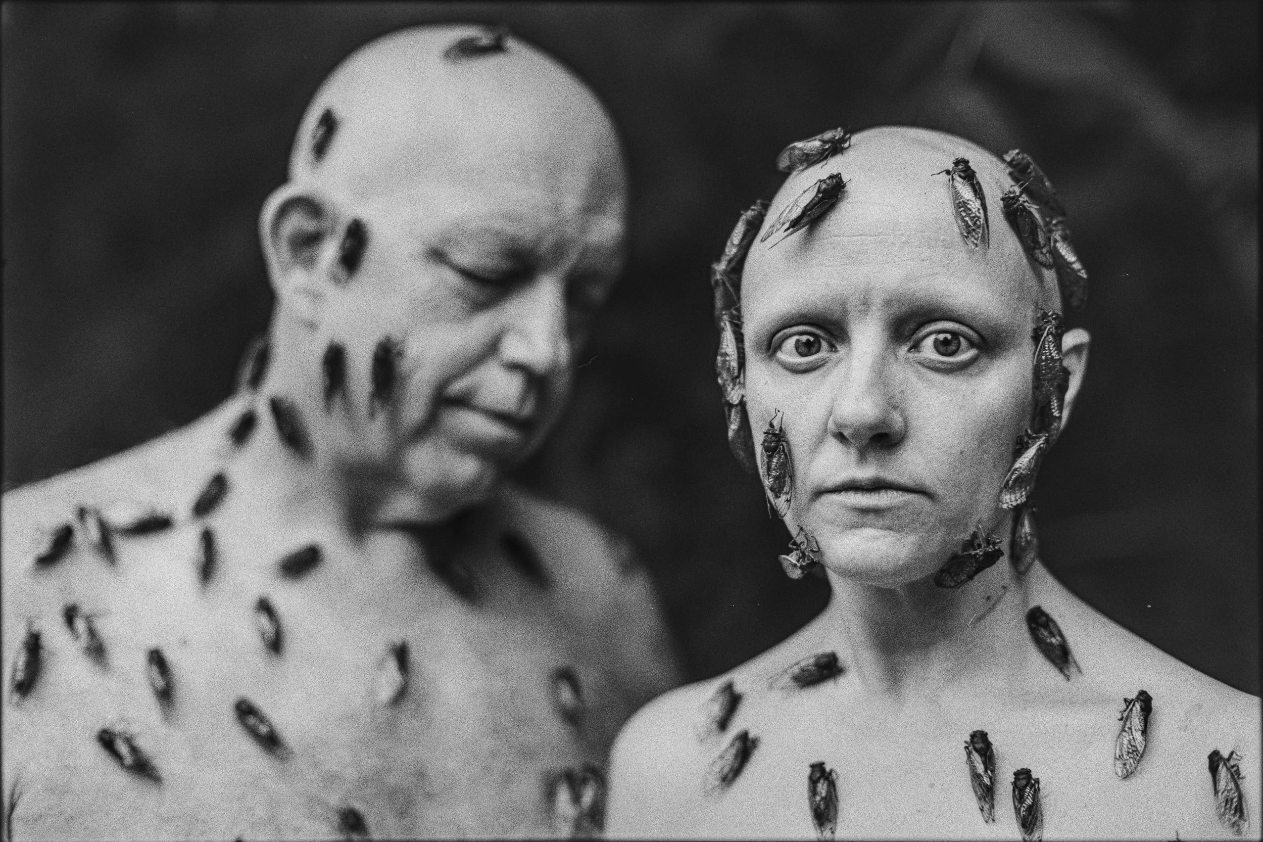 Fine art conceptual portrait of a man and woman covered in cicadas, captured on 35mm film by Parker J Pfister