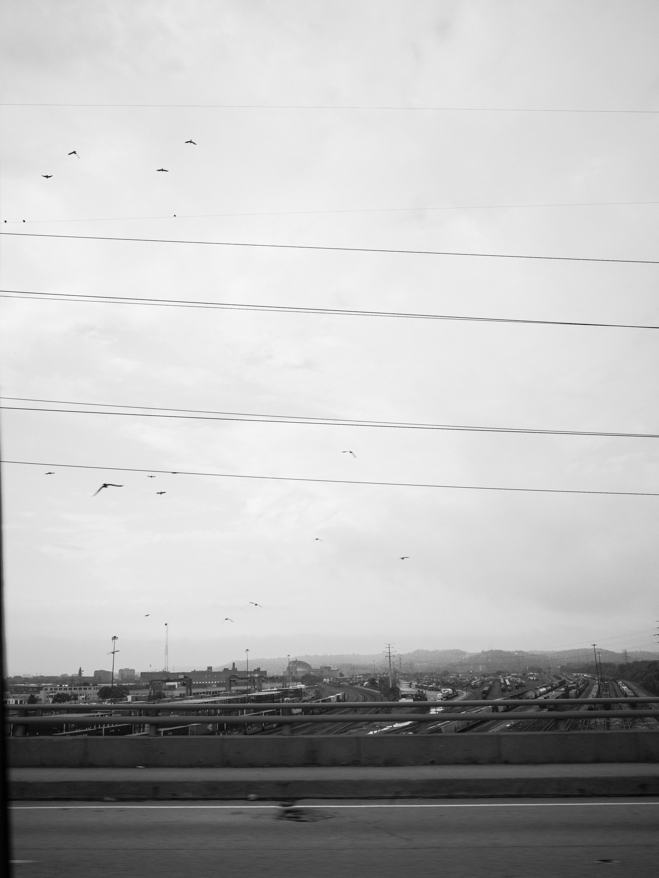 _G108979.jpg