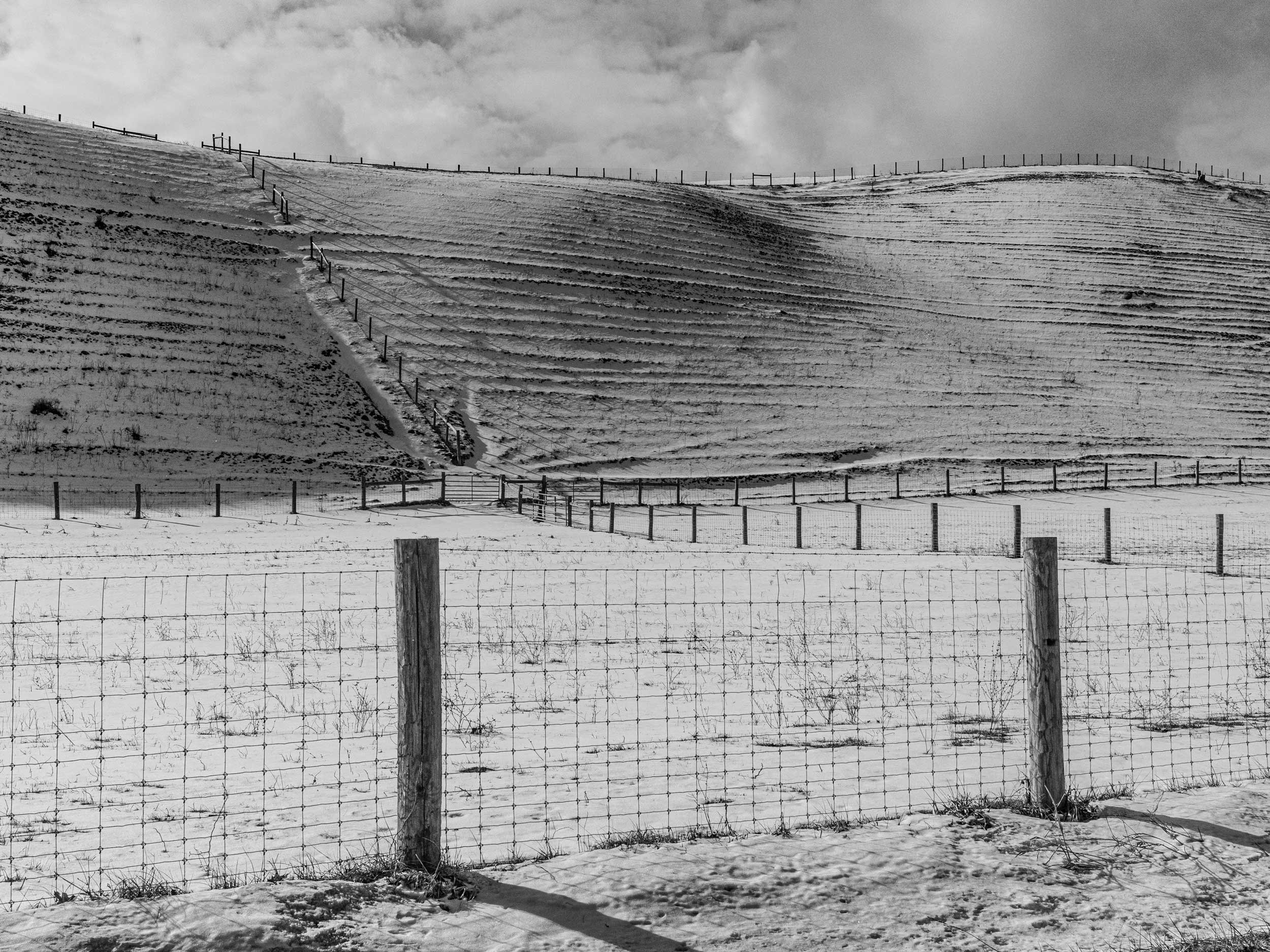 Black and white documentary landscape showing a wire fence with wooden posts in the foreground, looking up at sweeping, deeply terraced farm hillsides under a cloudy sky in a snowy Appalachia.