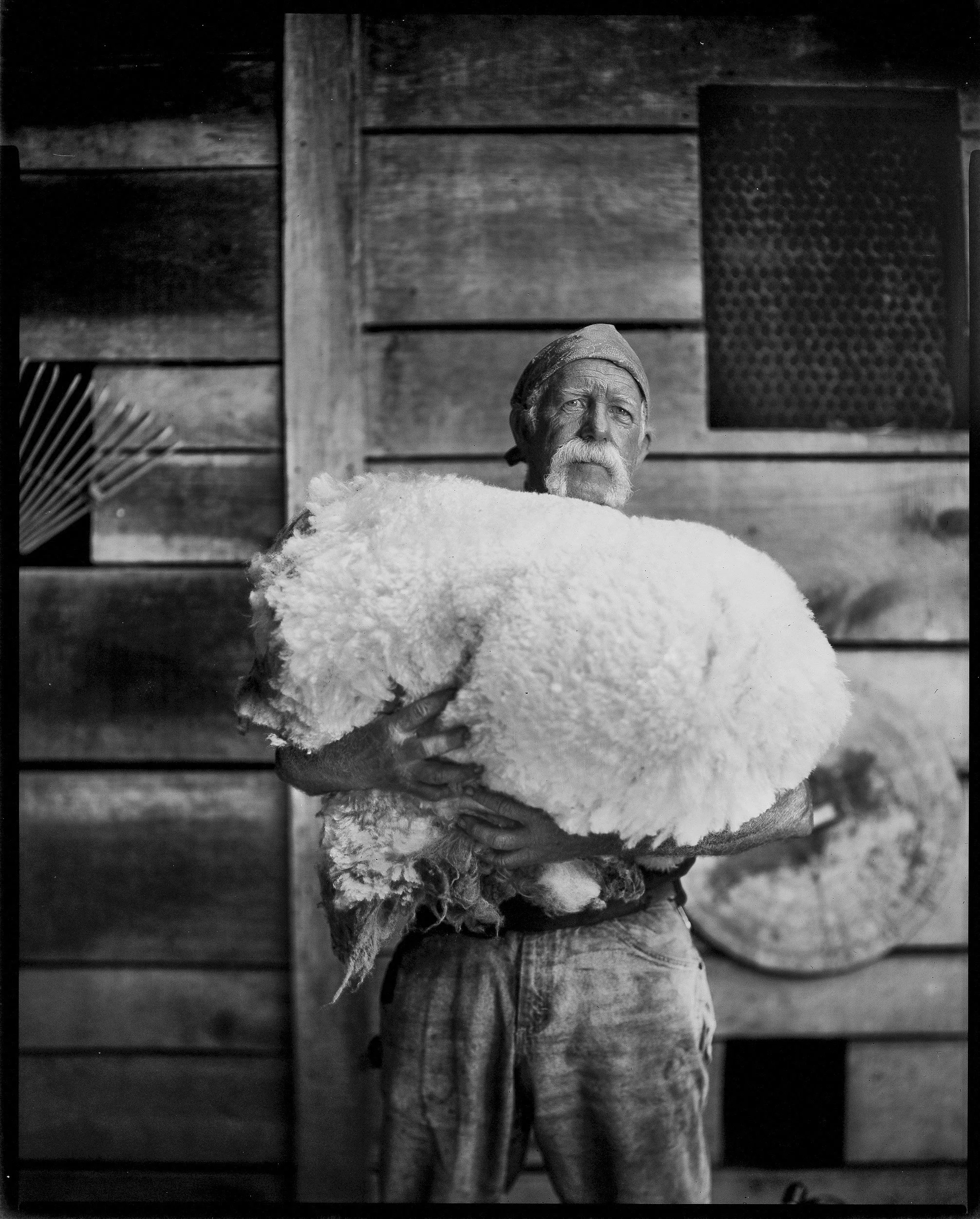Stark, documentary black and white large format film portrait of a sheep shearer holding a freshly shorn fleece against a wooden barn wall in Madison County, North Carolina