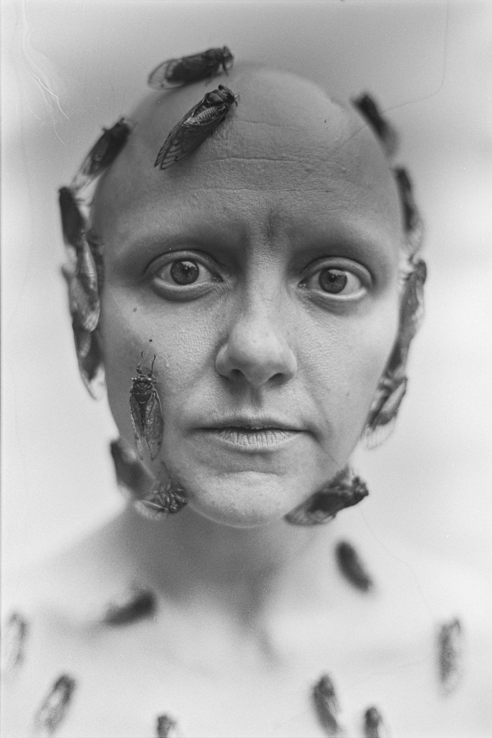 A stark, close-up fine art 35mm film portrait detailing a woman's face surrounded by cicadas