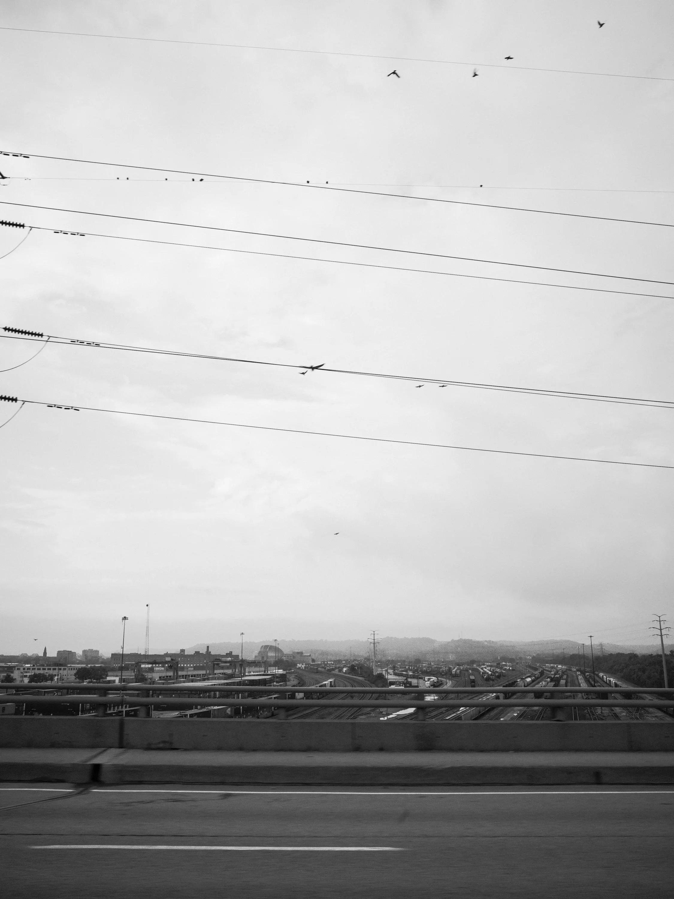 _G108977.jpg